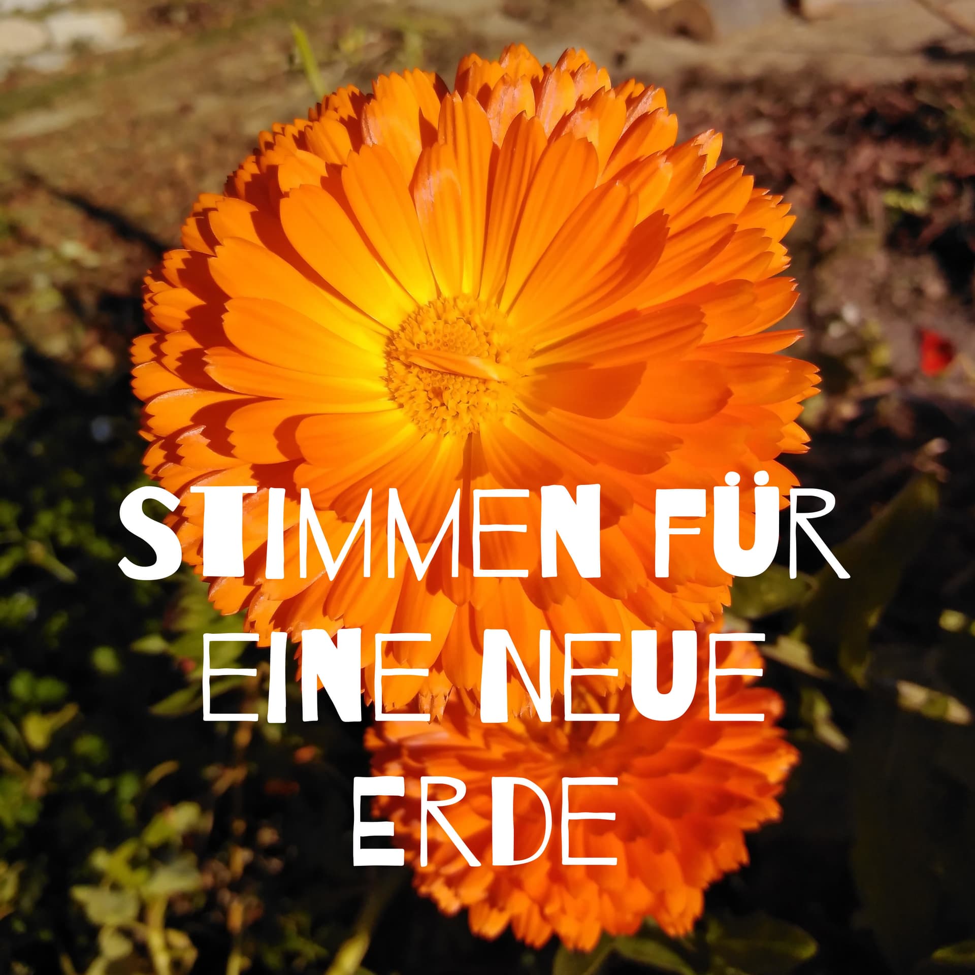 Stimmen für eine Neue Erde - Podcasts