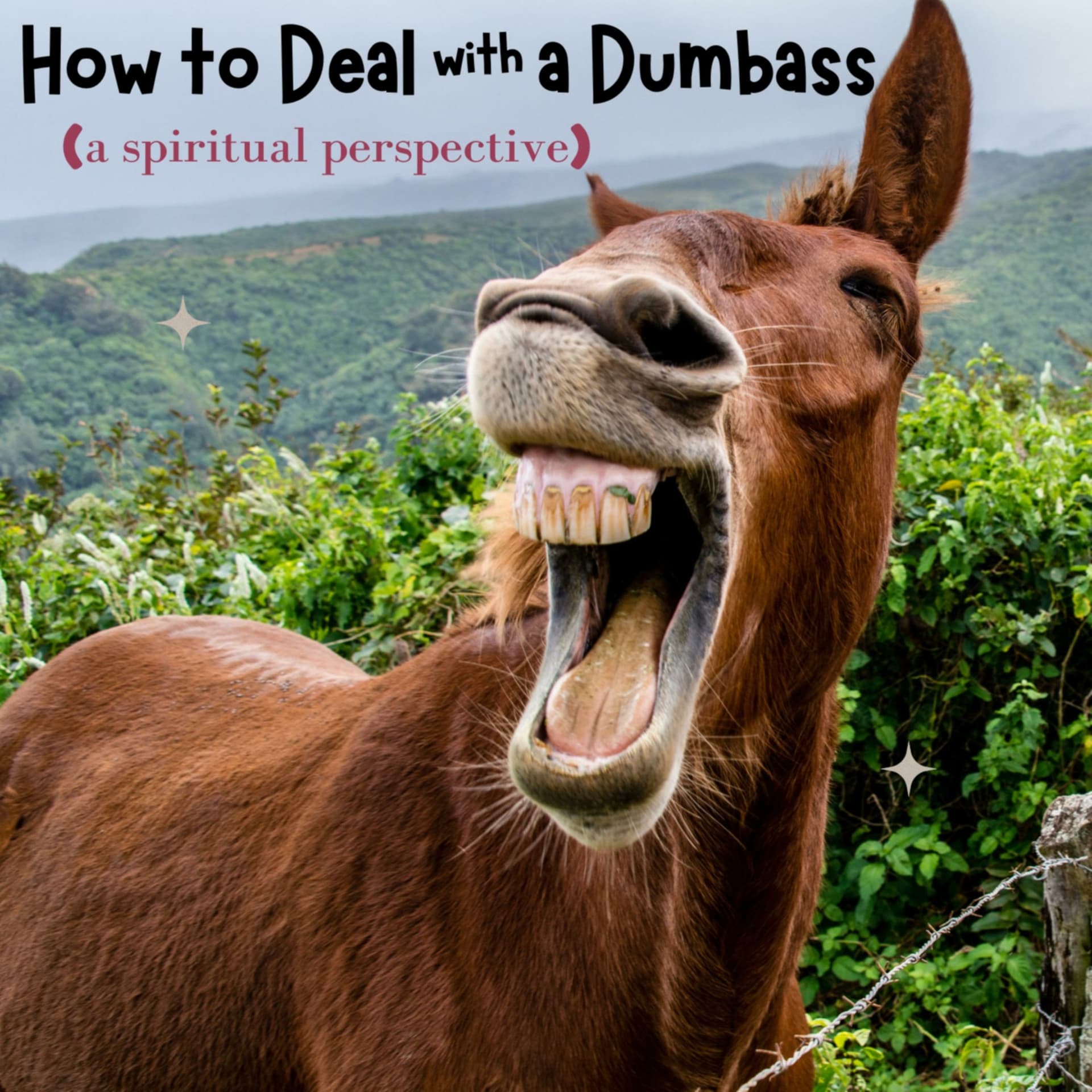 How to Deal with a Dumbass (a spiritual perspective) - Podcasts