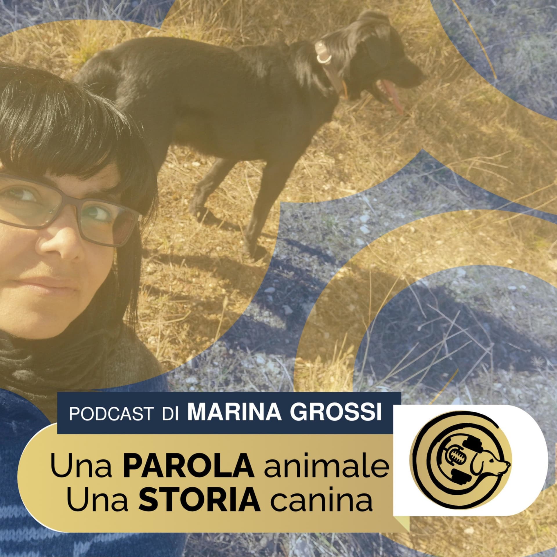 Una parola animale, una storia canina - Podcasts