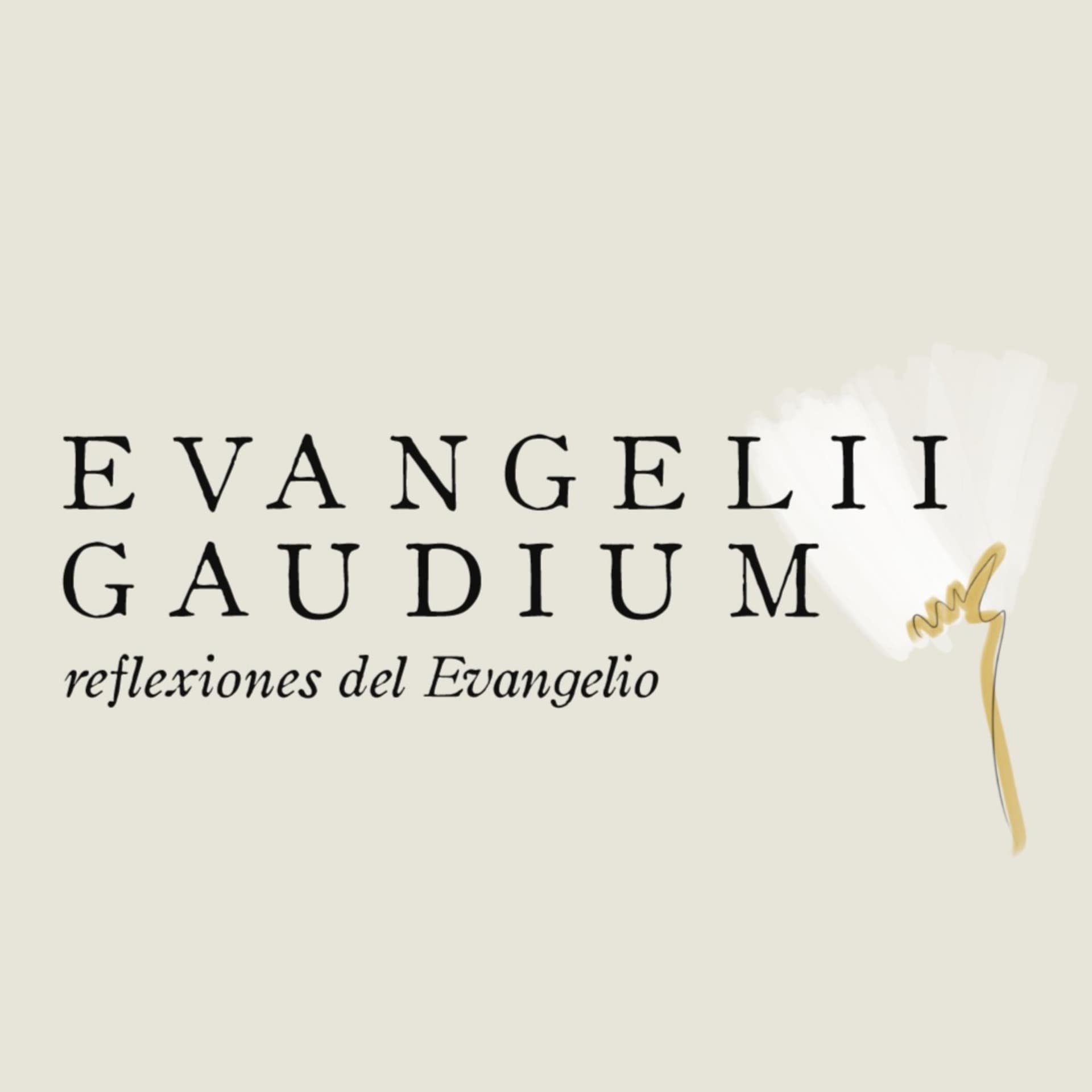 Evangelii Gaudium: Reflexiones del Evangelio - Podcasts