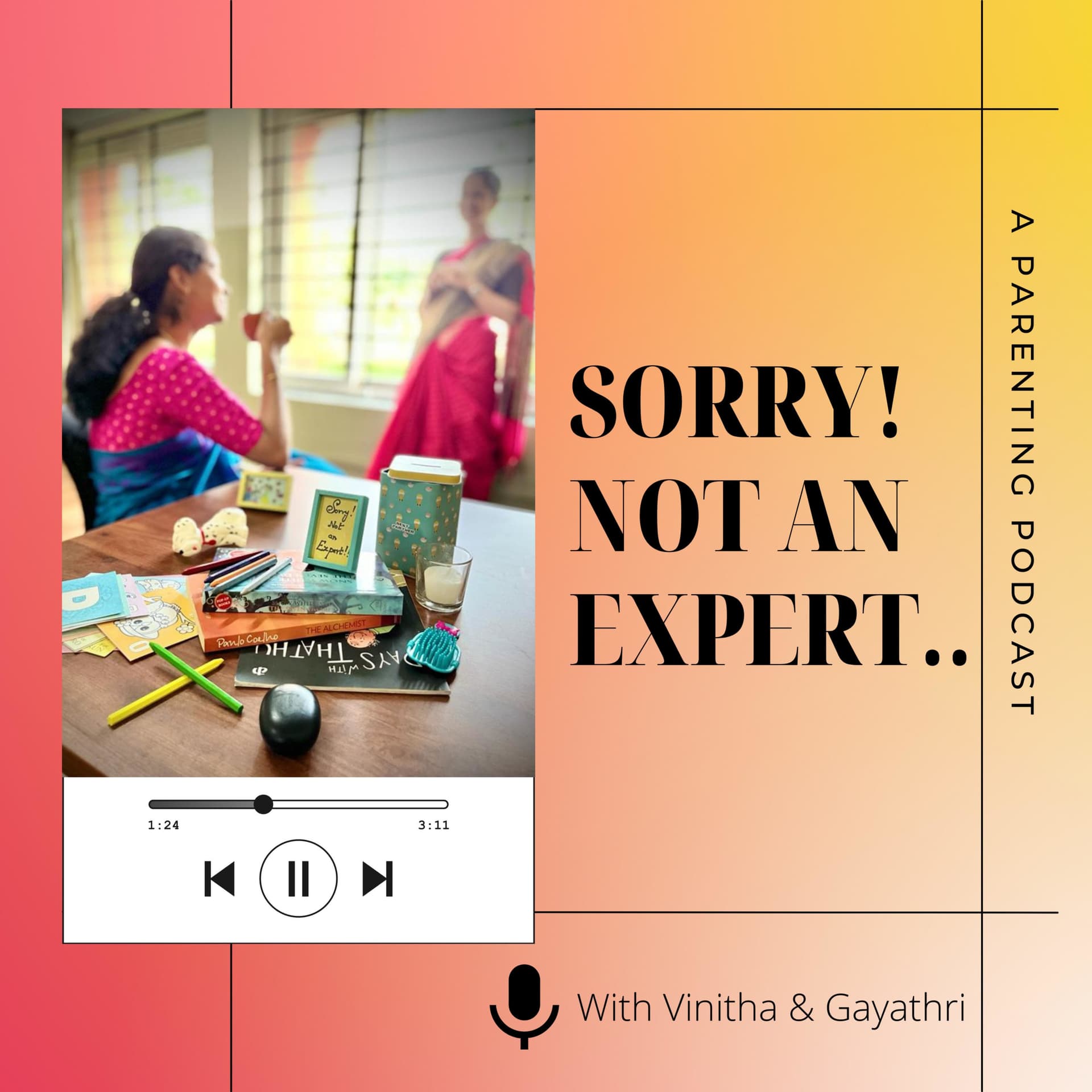 Sorry! Not an Expert - Podcasts