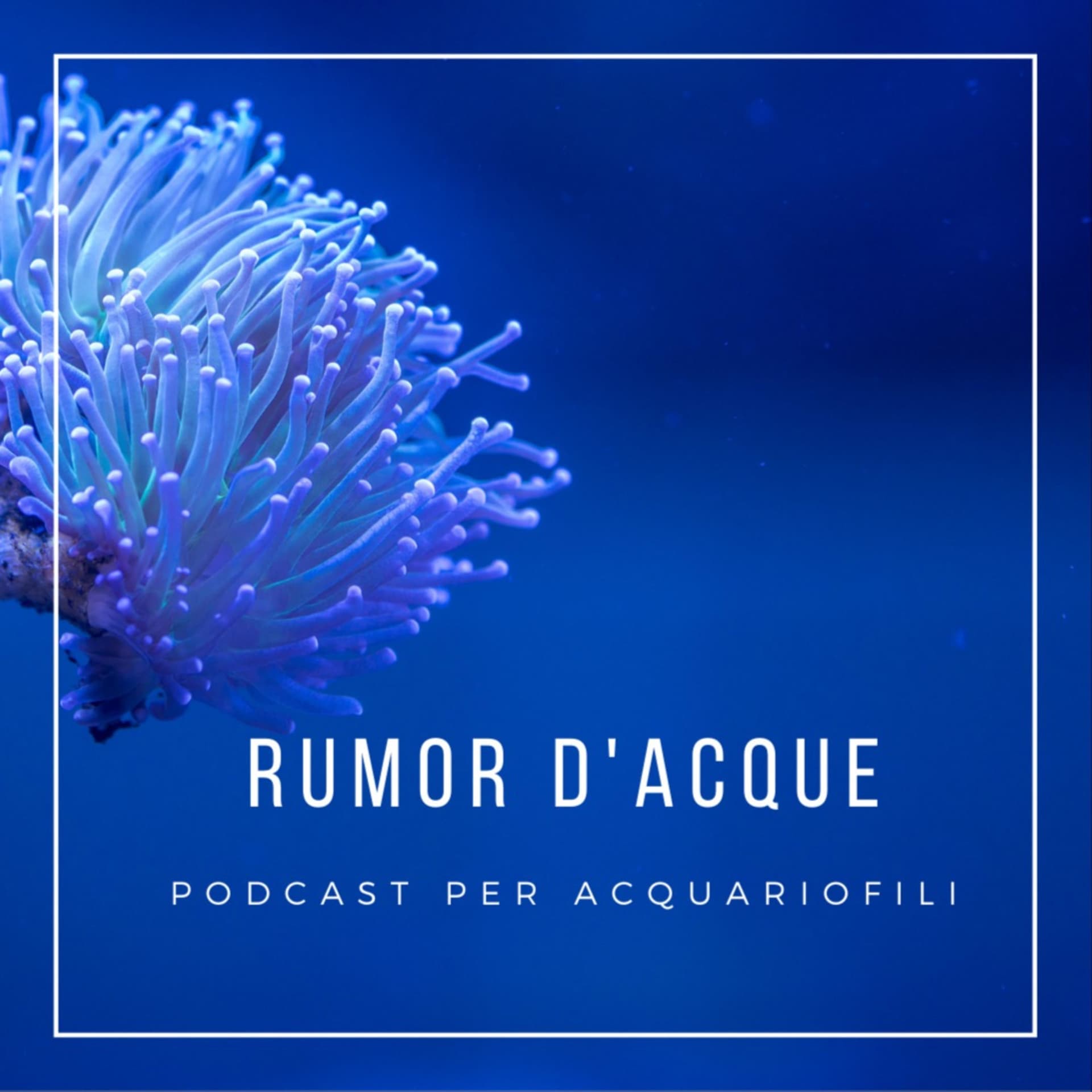 RUMOR D'ACQUE - Podcasts
