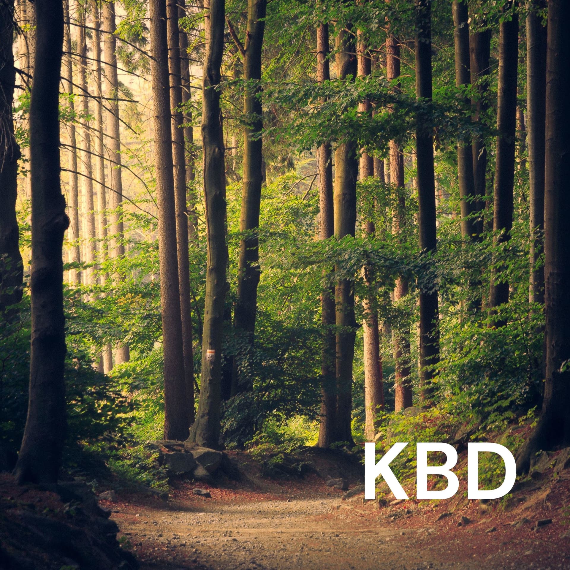 KBD - Katta By DLRC - Podcasts