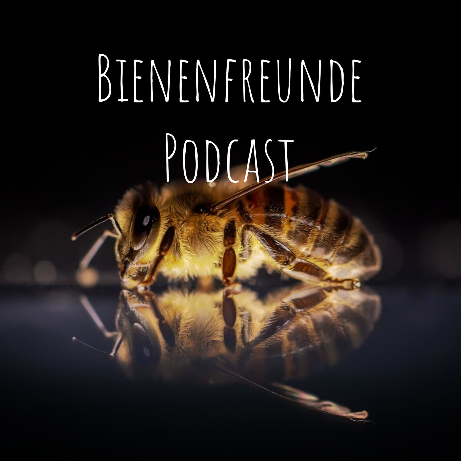Bienenfreunde Podcast - Podcasts
