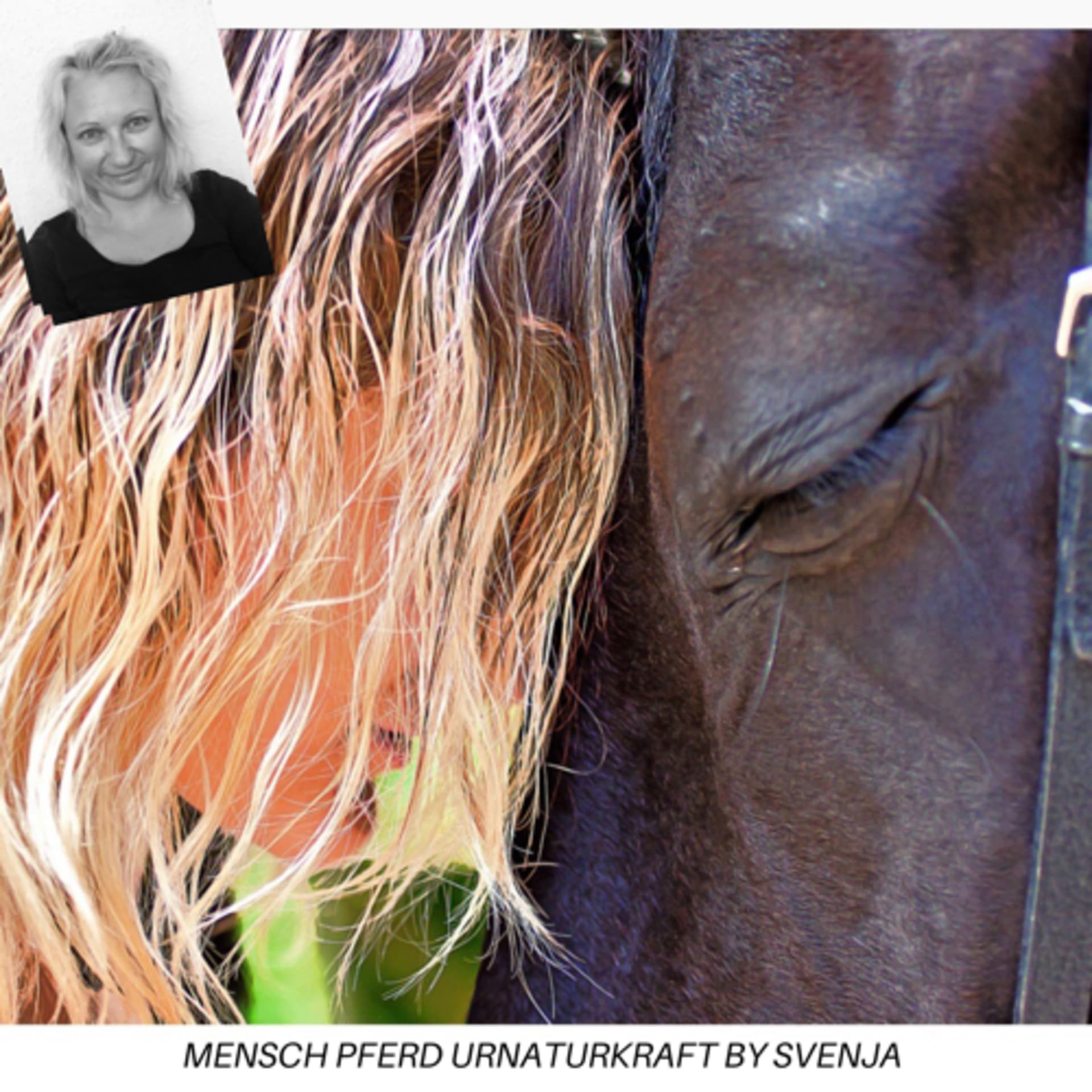 Svenja 💚💚 Pferd Mensch Urnaturkraft 💚💚 - Podcasts