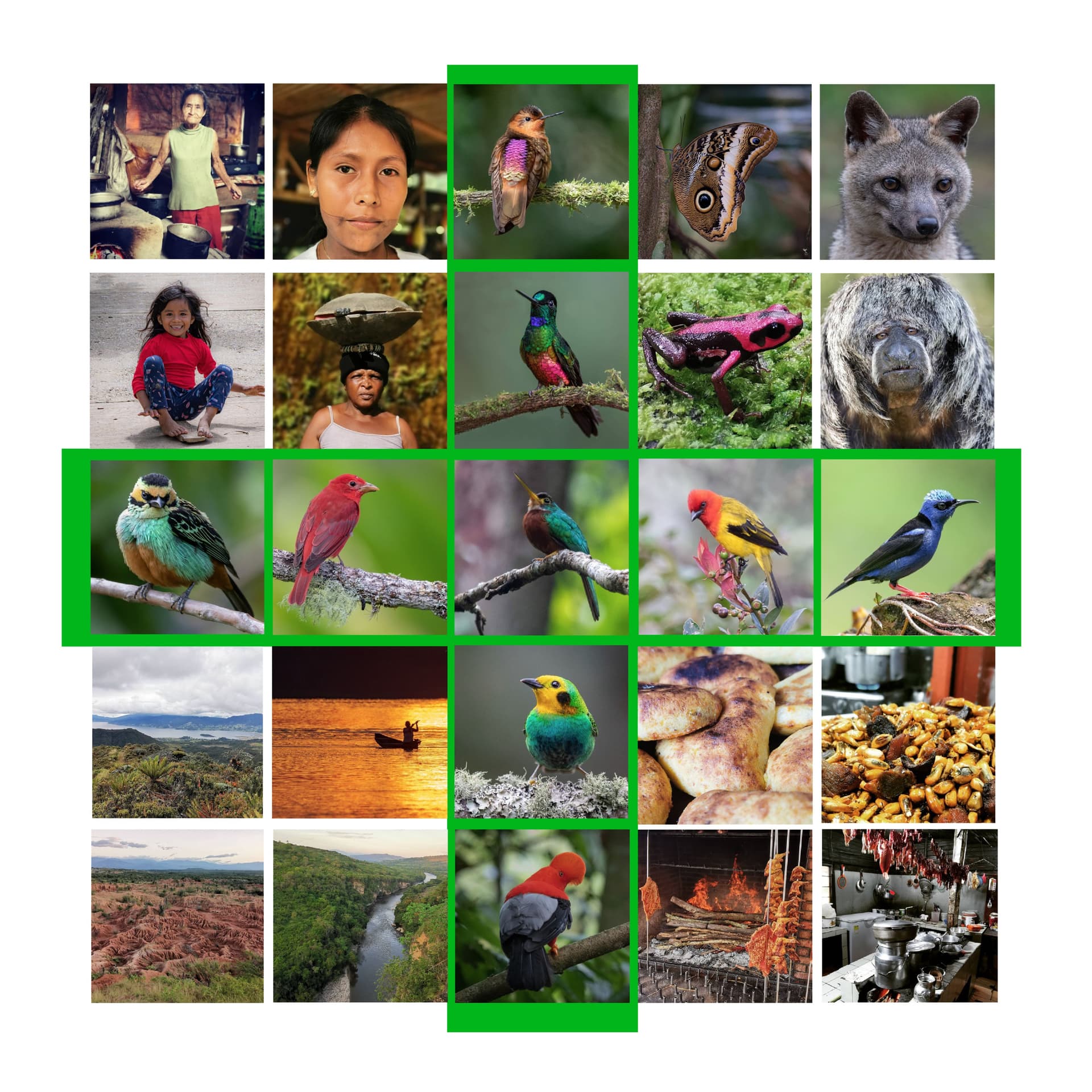 Unidos x Las Aves - Podcasts
