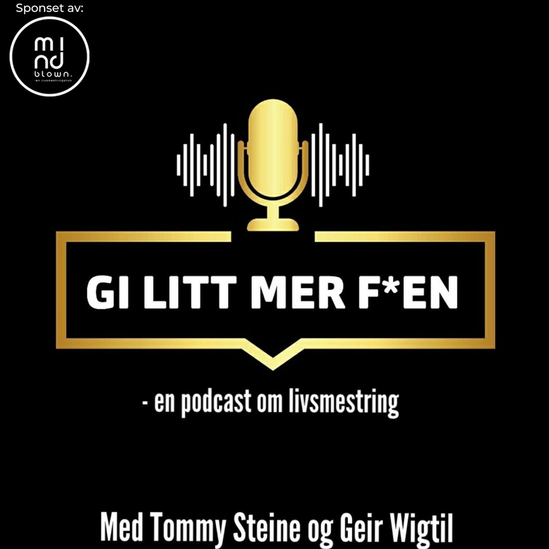Gi litt mer faen - Podcasts