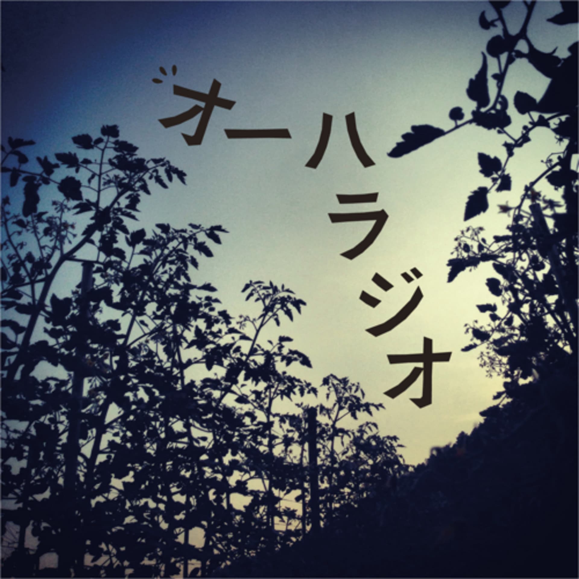 オーハラジオ - Podcasts