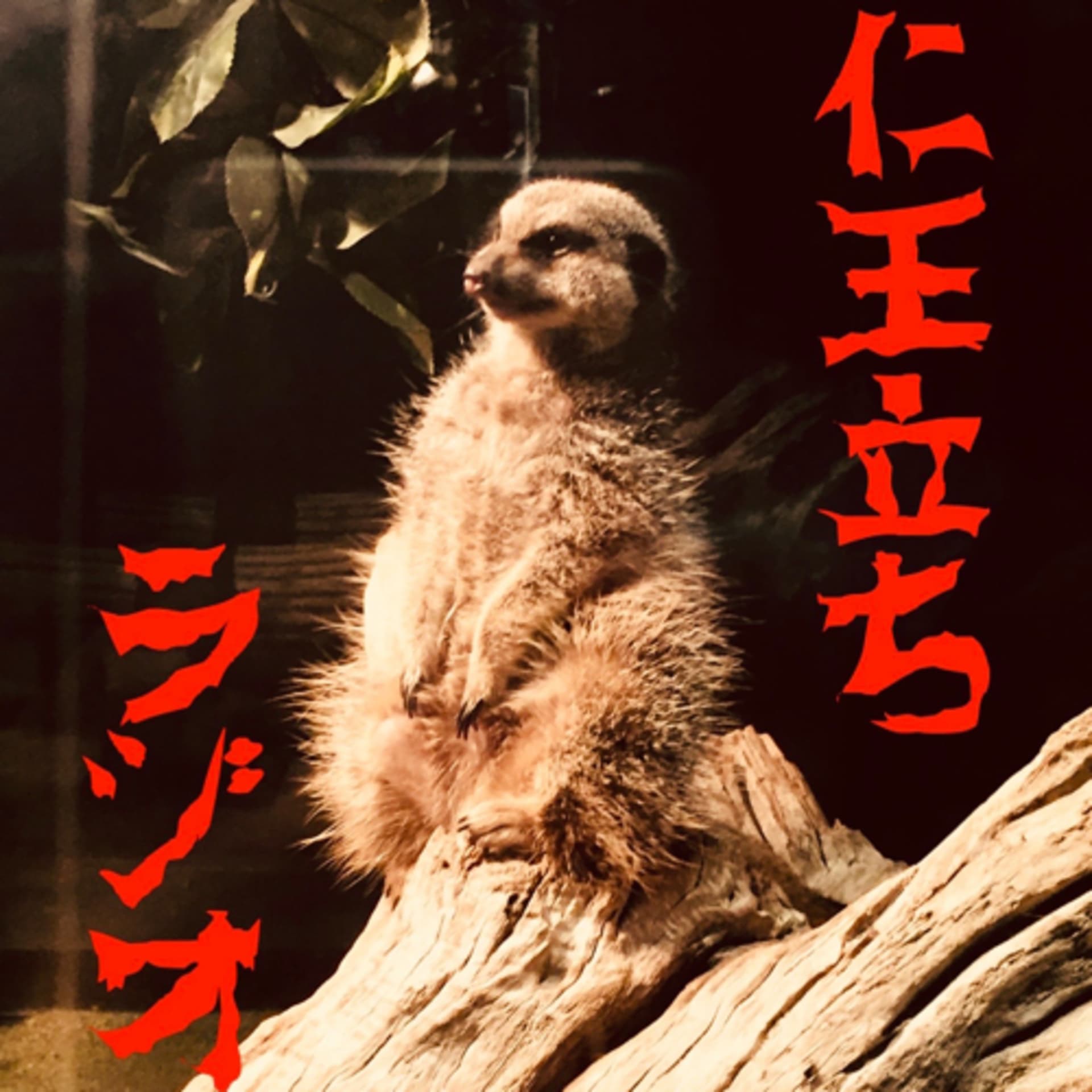 仁王立ちラジオ - Podcasts