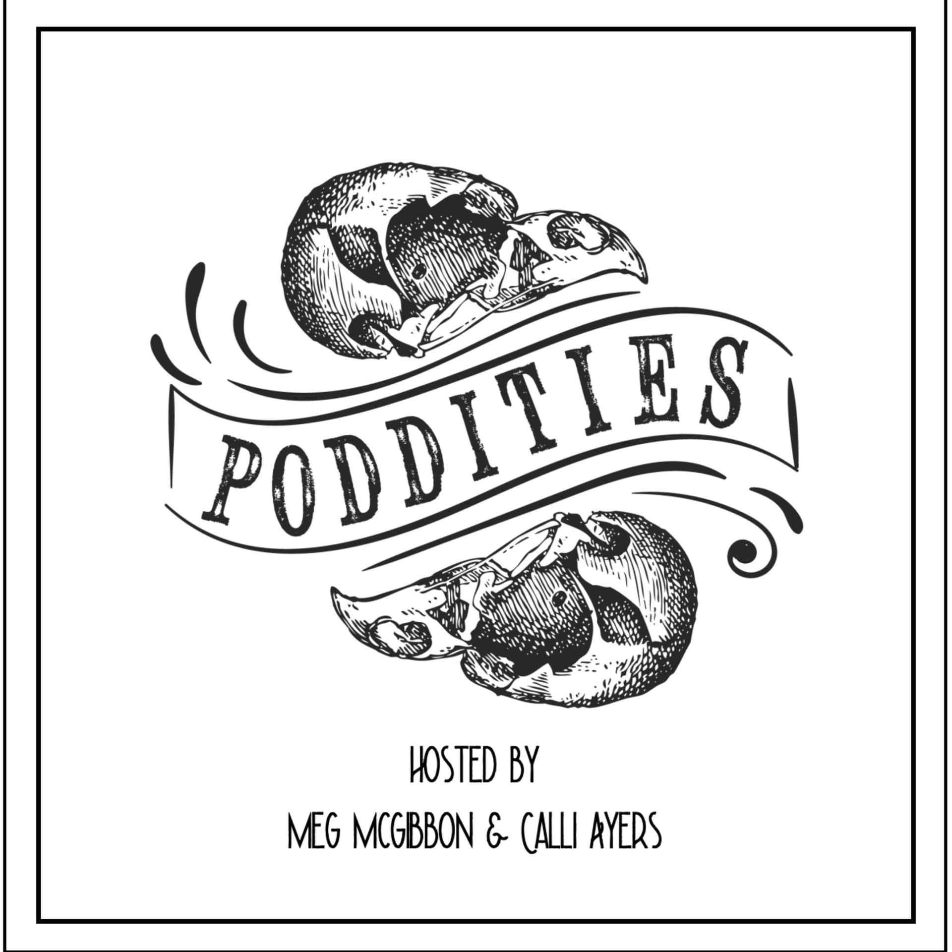 Poddities - Podcasts
