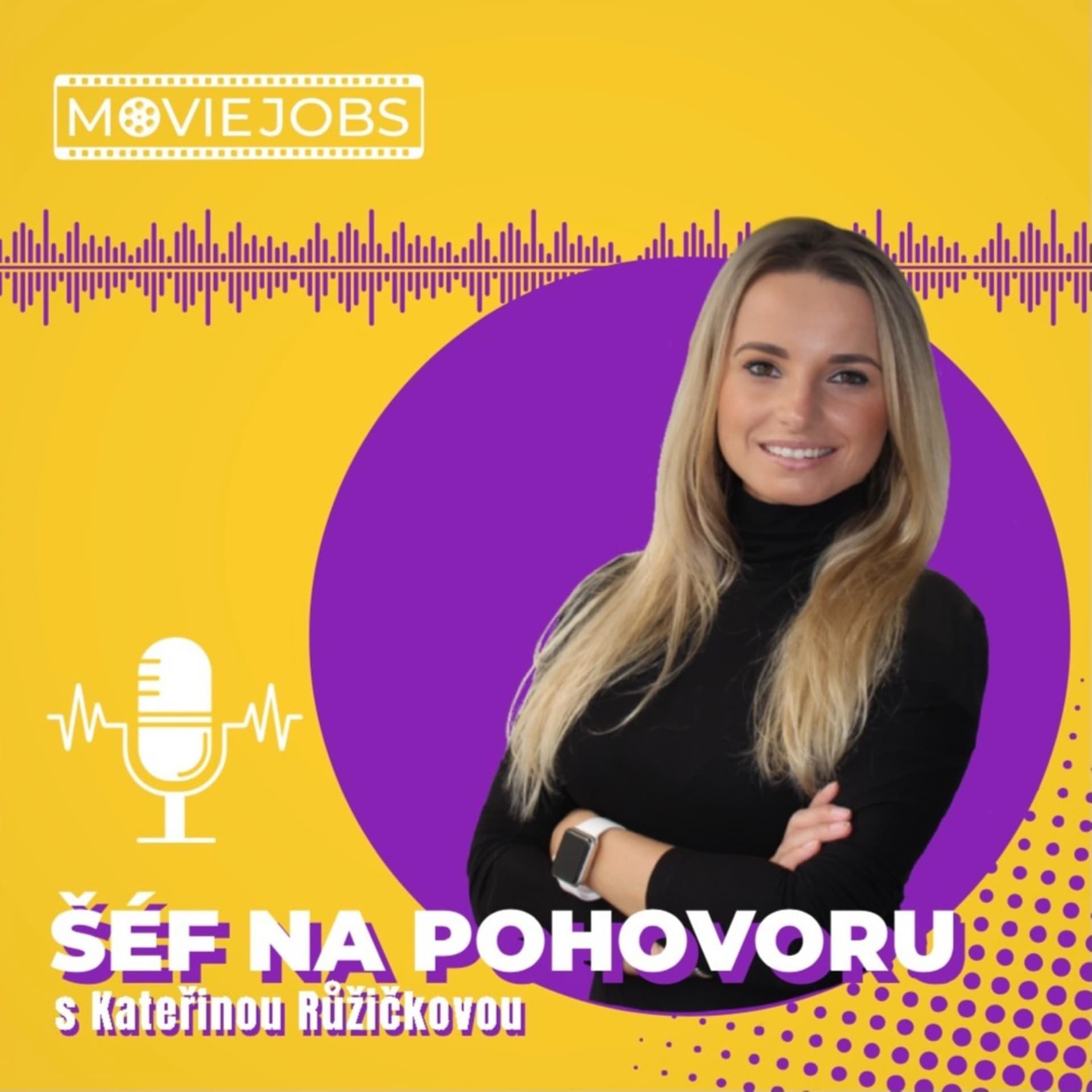 Šéf na pohovoru - Podcasts
