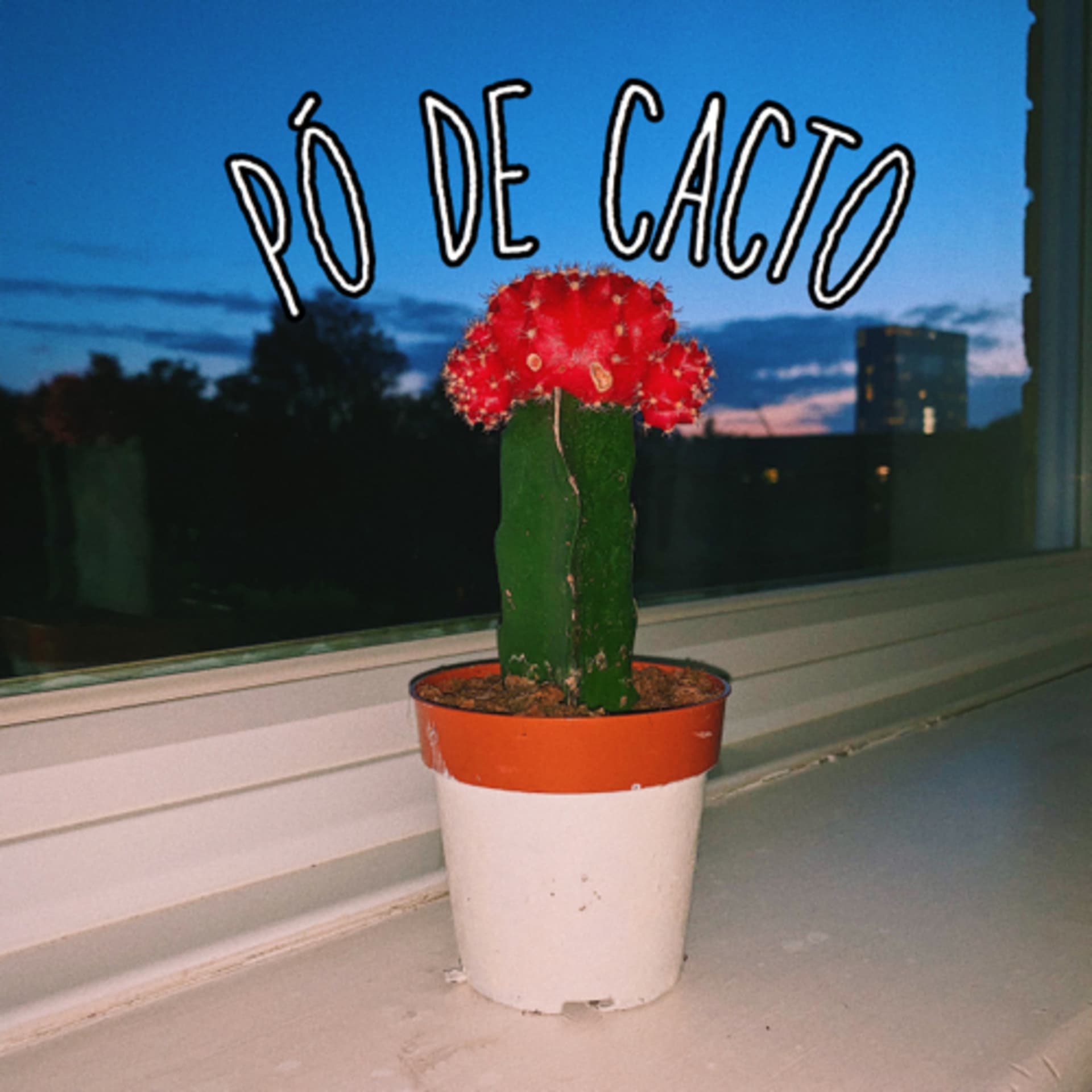 PóDeCacto - Podcasts
