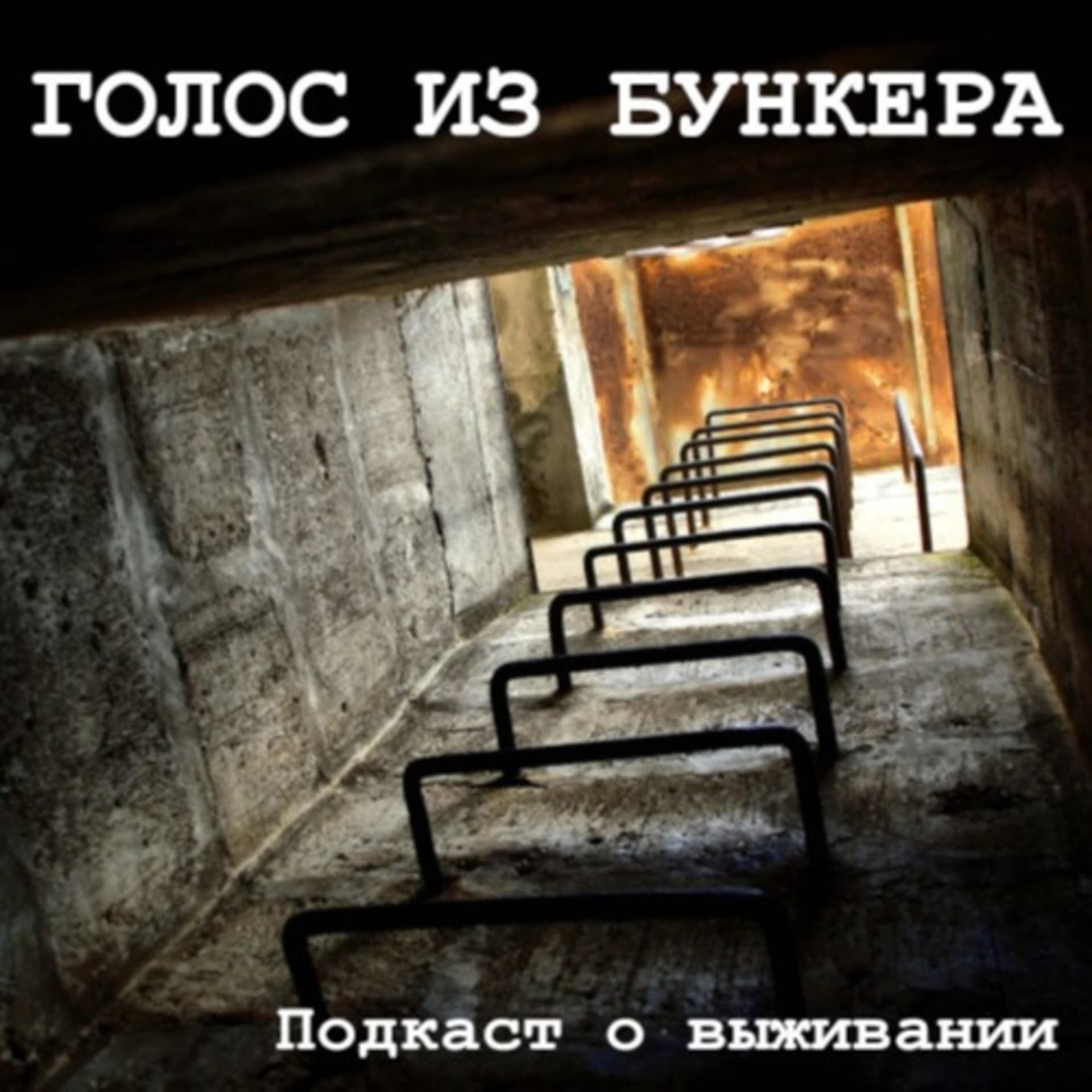 Голос из бункера - подкаст о выживании - Podcasts