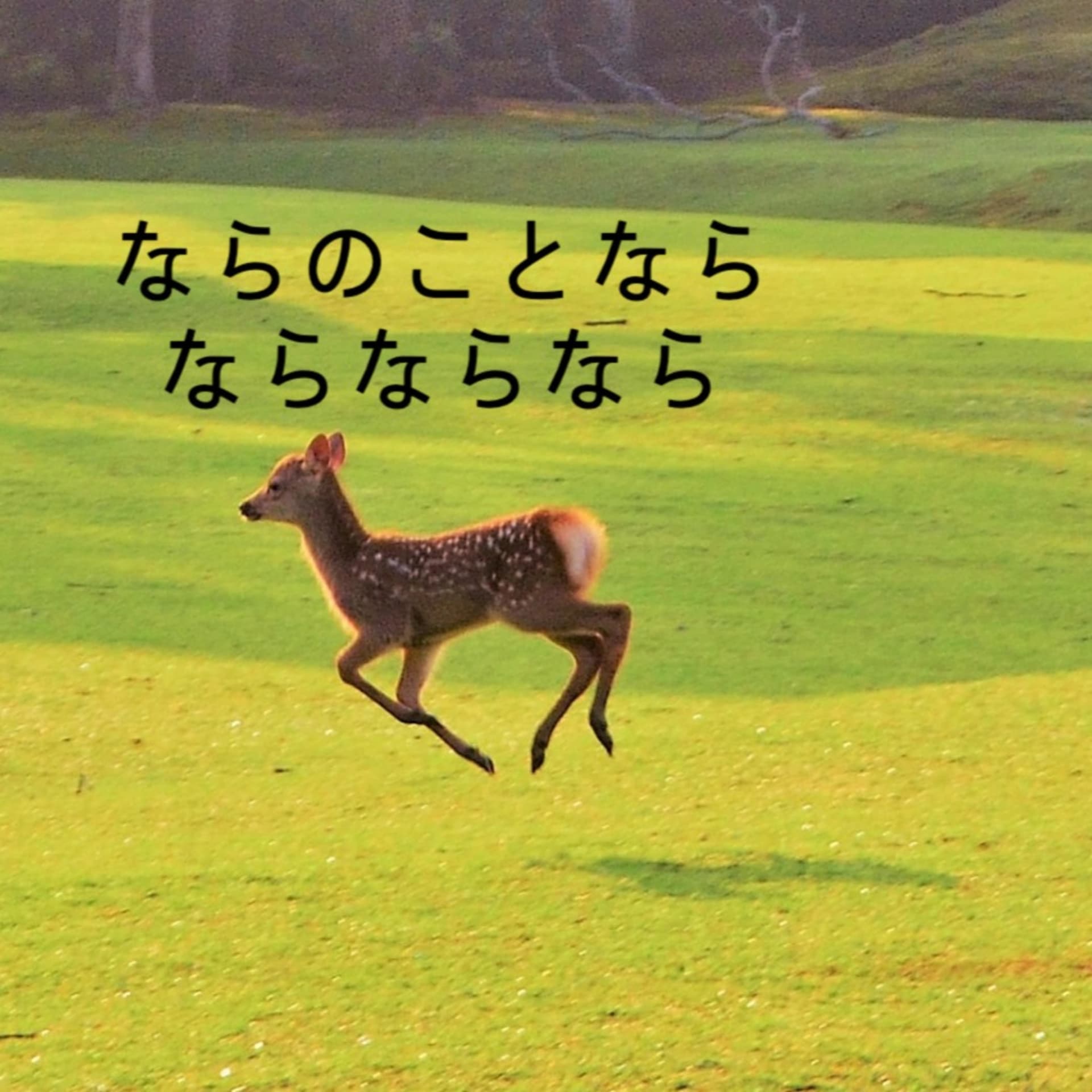奈良のことならならならなら - Podcasts