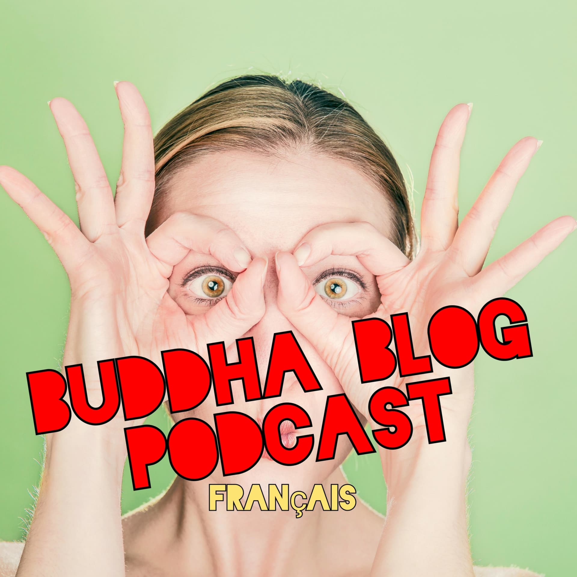 Buddha-Blog - Le bouddhisme au quotidien - Le podcast bouddhiste - des bouddhistes Chan (Zen) - Podcasts