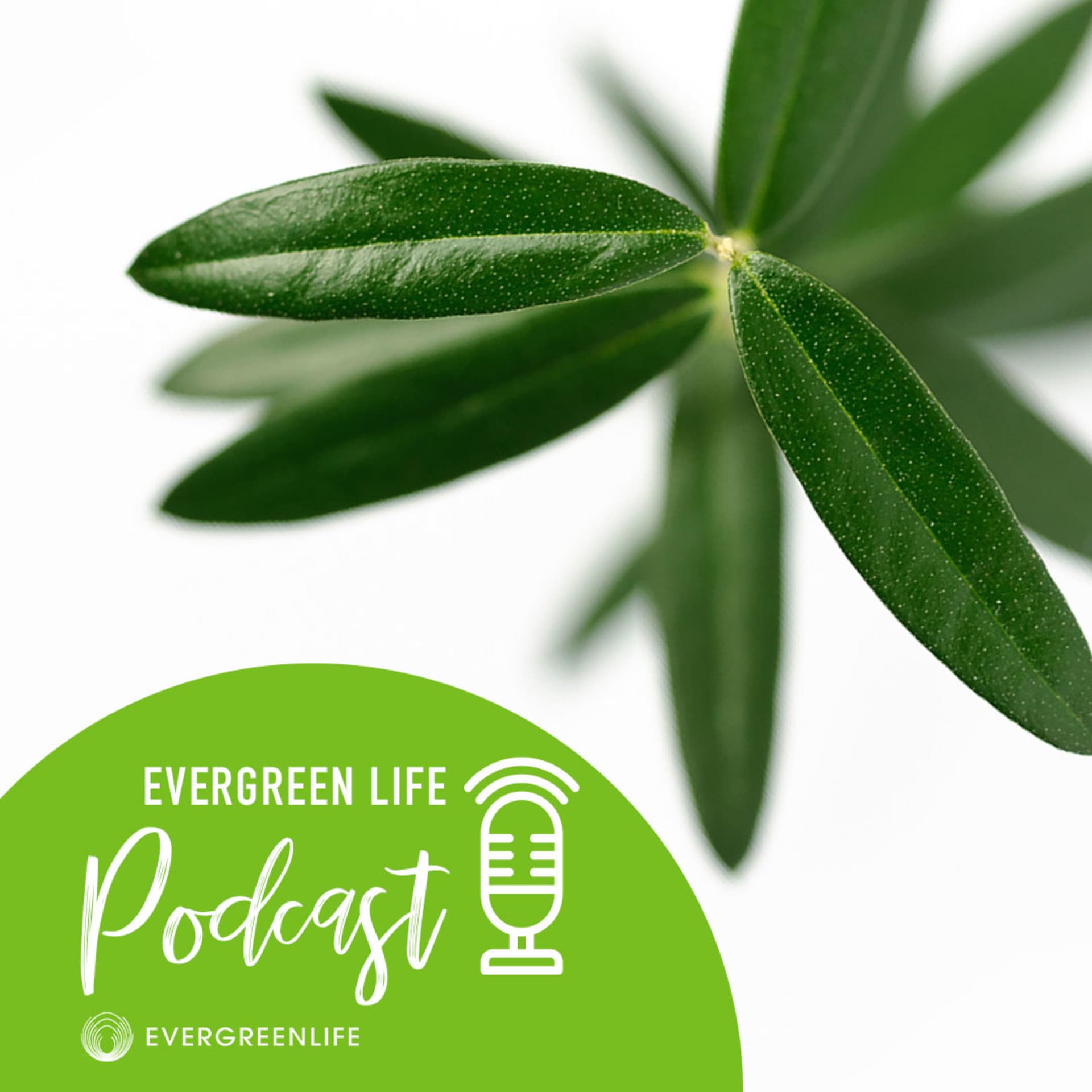 Evergreen Life Podcast - Podcasts