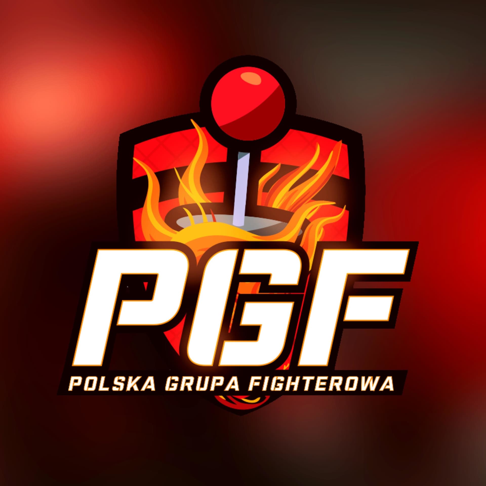 Polska Grupa Fighterowa Nadaje! - Podcasts