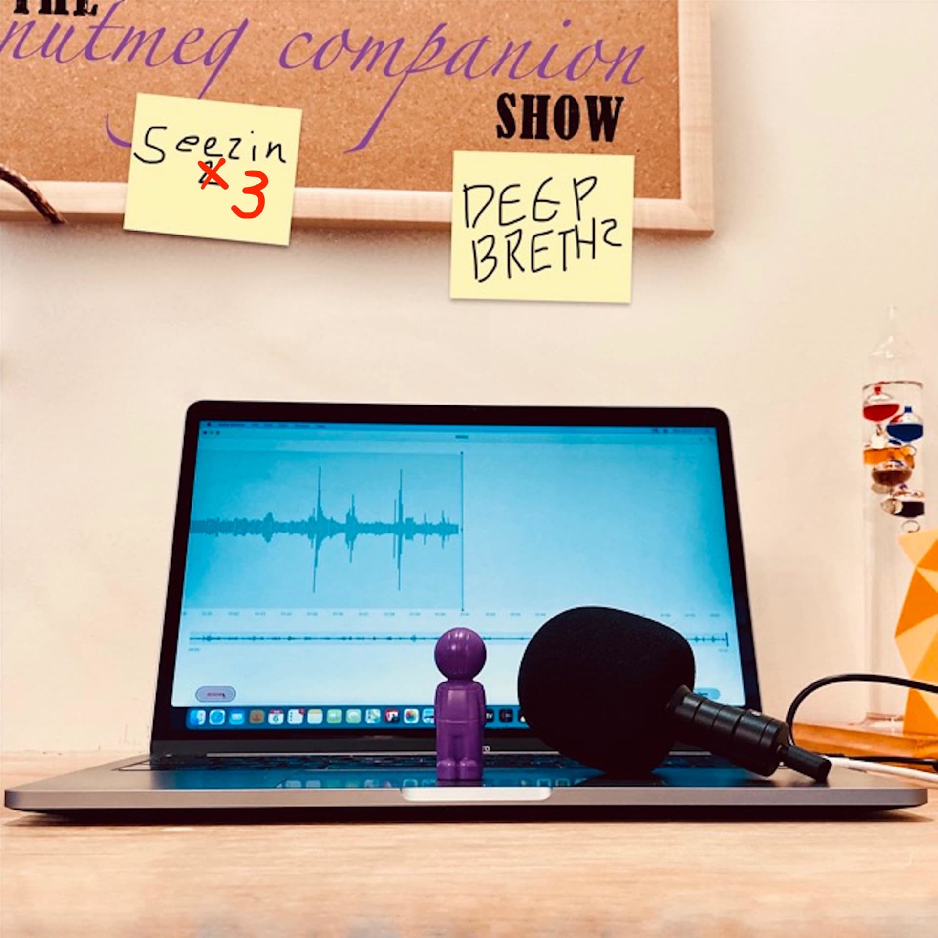 The Nutmeg Companion Show - Podcasts