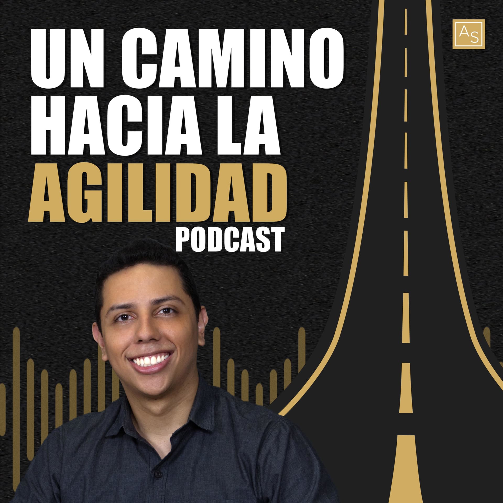 Un Camino Hacia la Agilidad - Podcasts