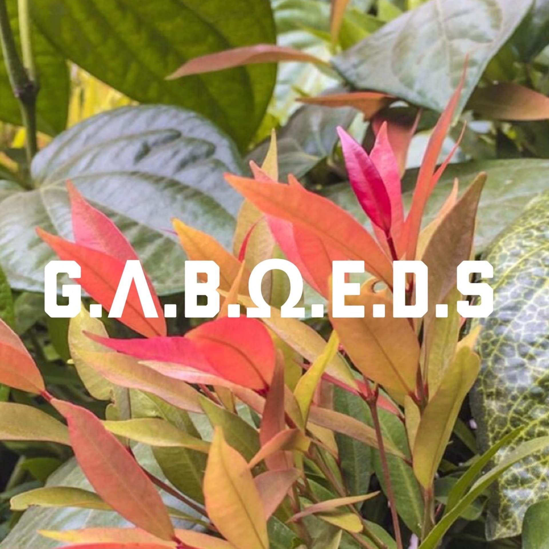 Gaboeds. - Podcasts