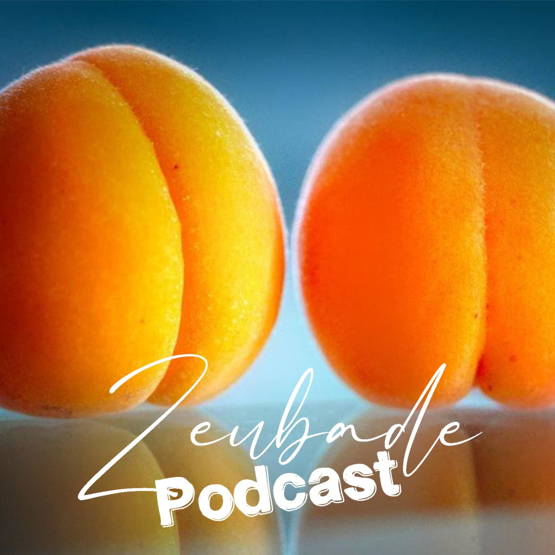 Zeubade Podcast - Podcasts