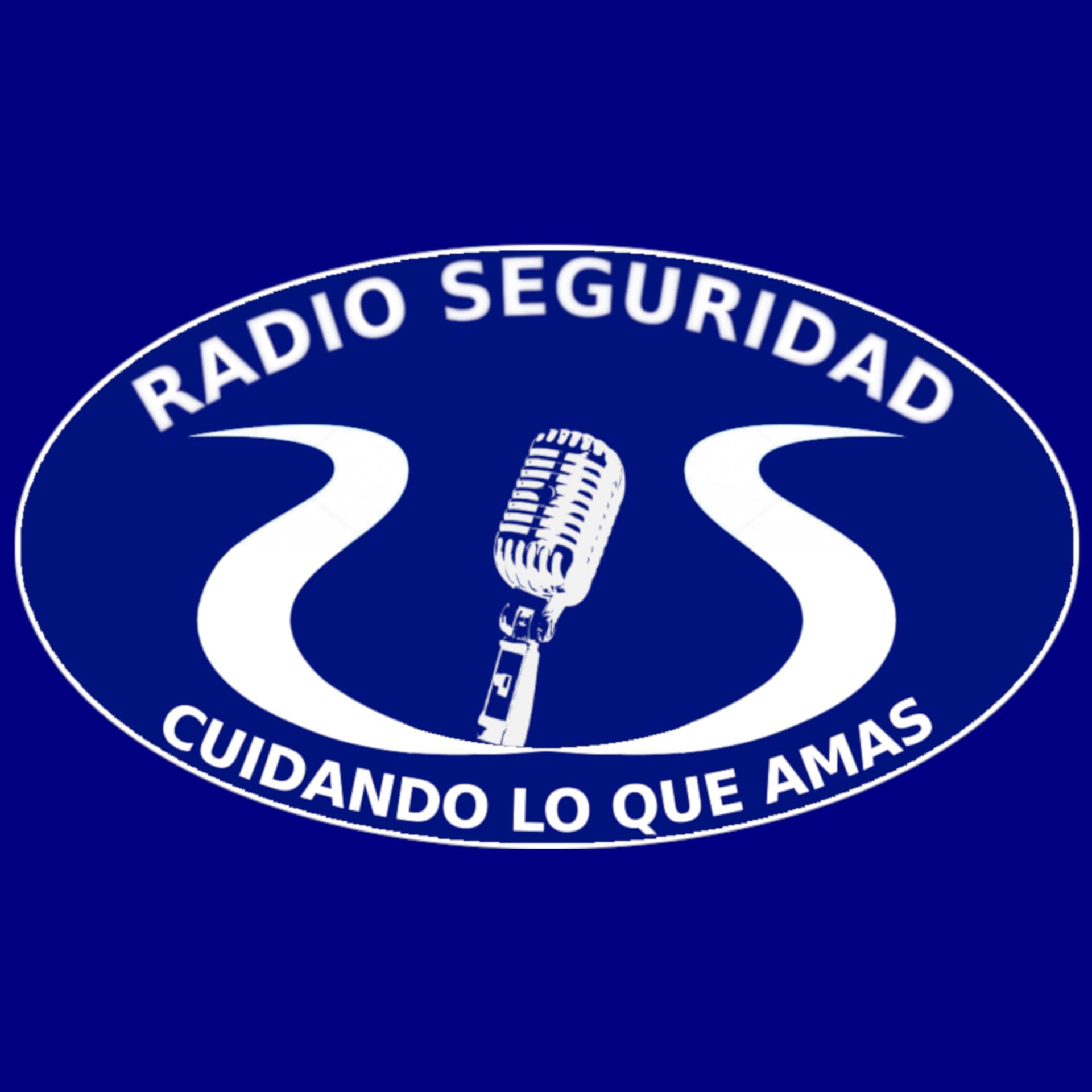 Radio Seguridad - Podcasts