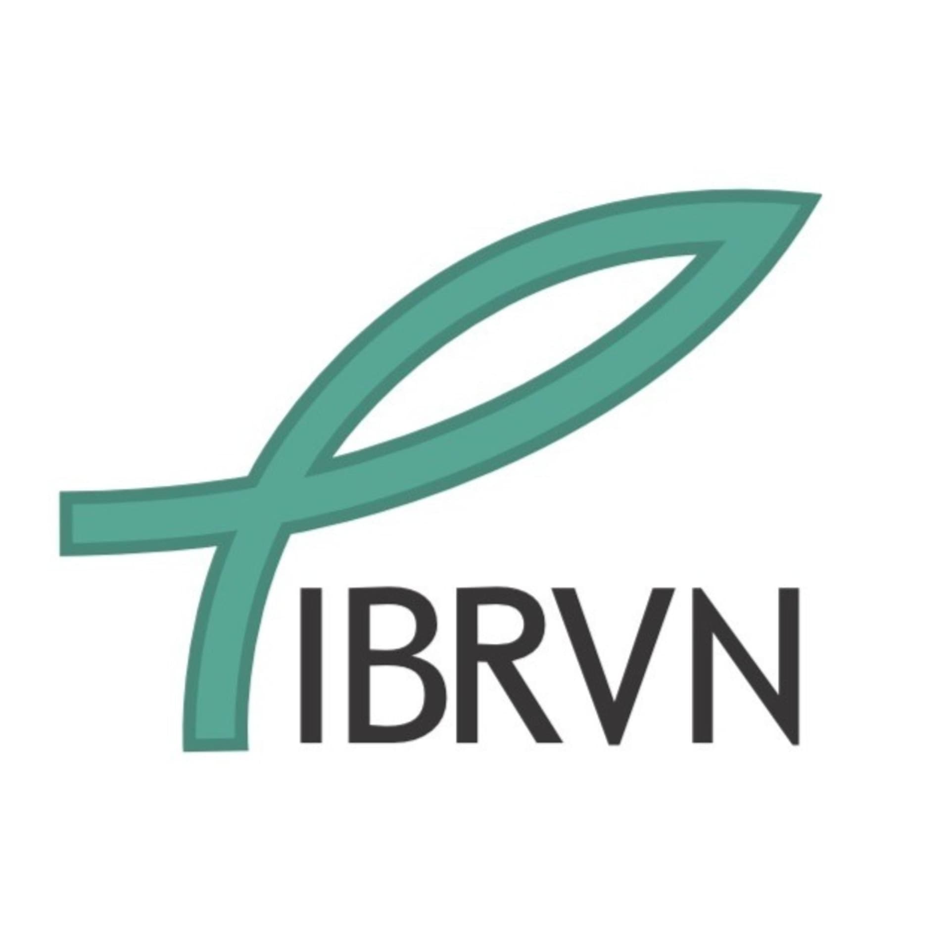 Igreja Batista Reformada Vida Nova - Podcasts