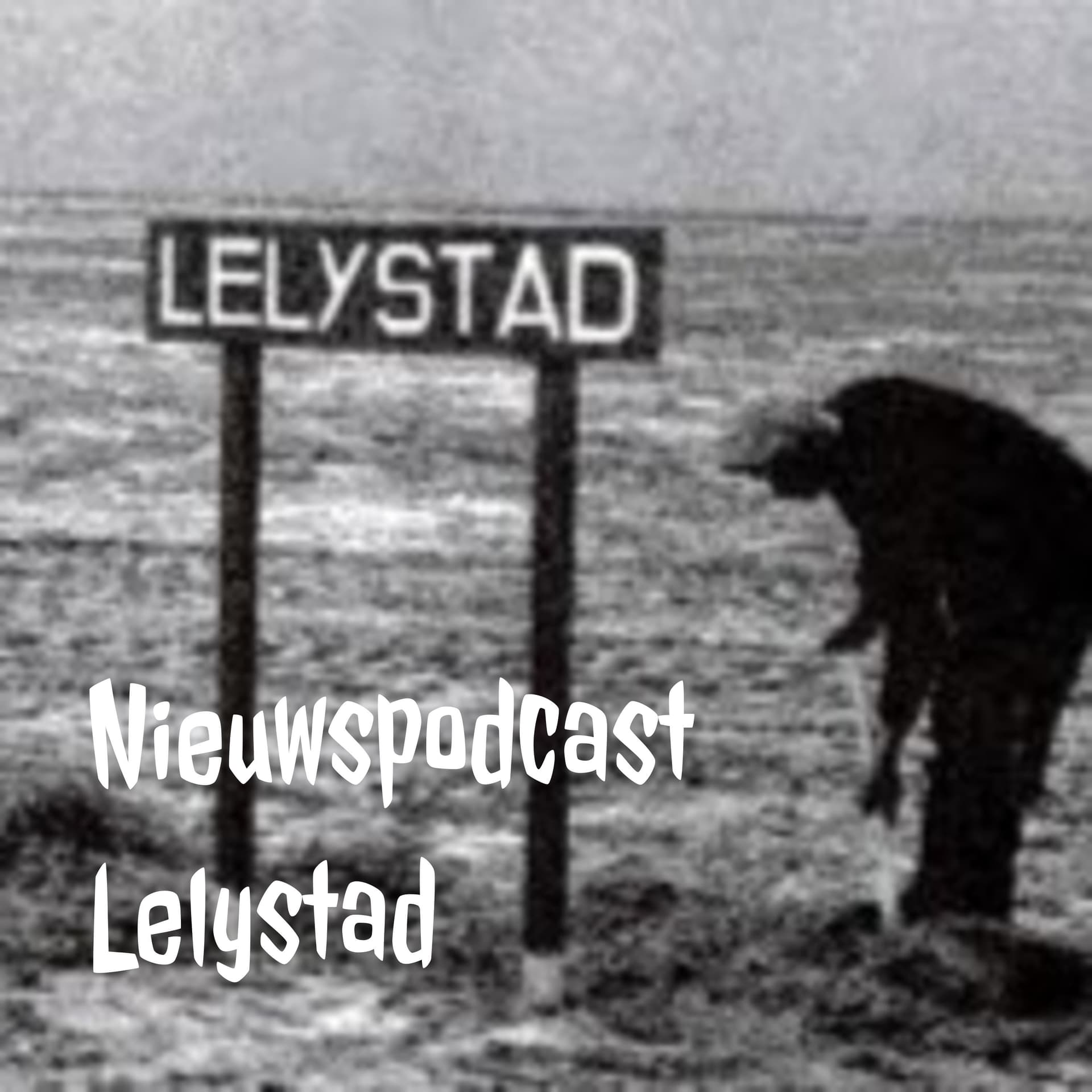 Nieuwspodcast Lelystad - Podcasts