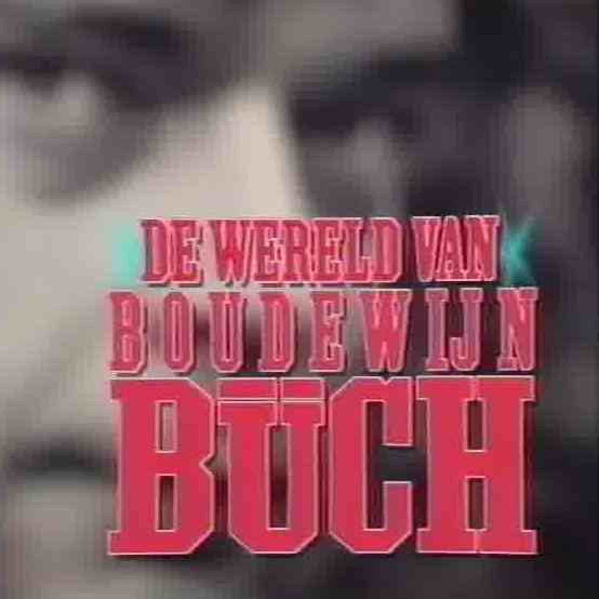 De wereld van Boudewijn Büch - Podcasts
