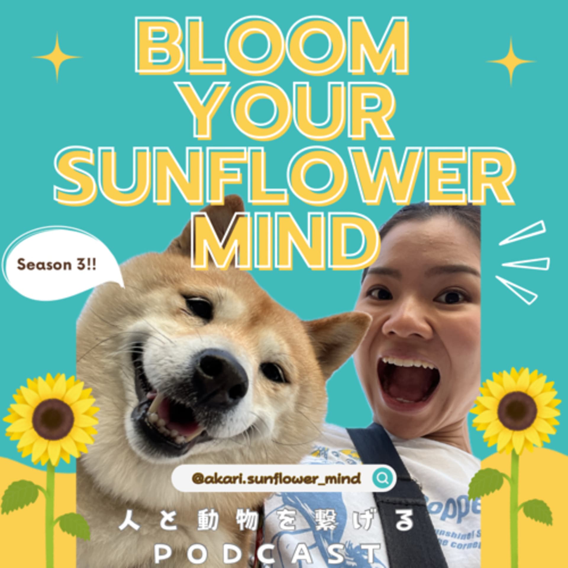 Bloom your Sunflower Mind - Podcasts