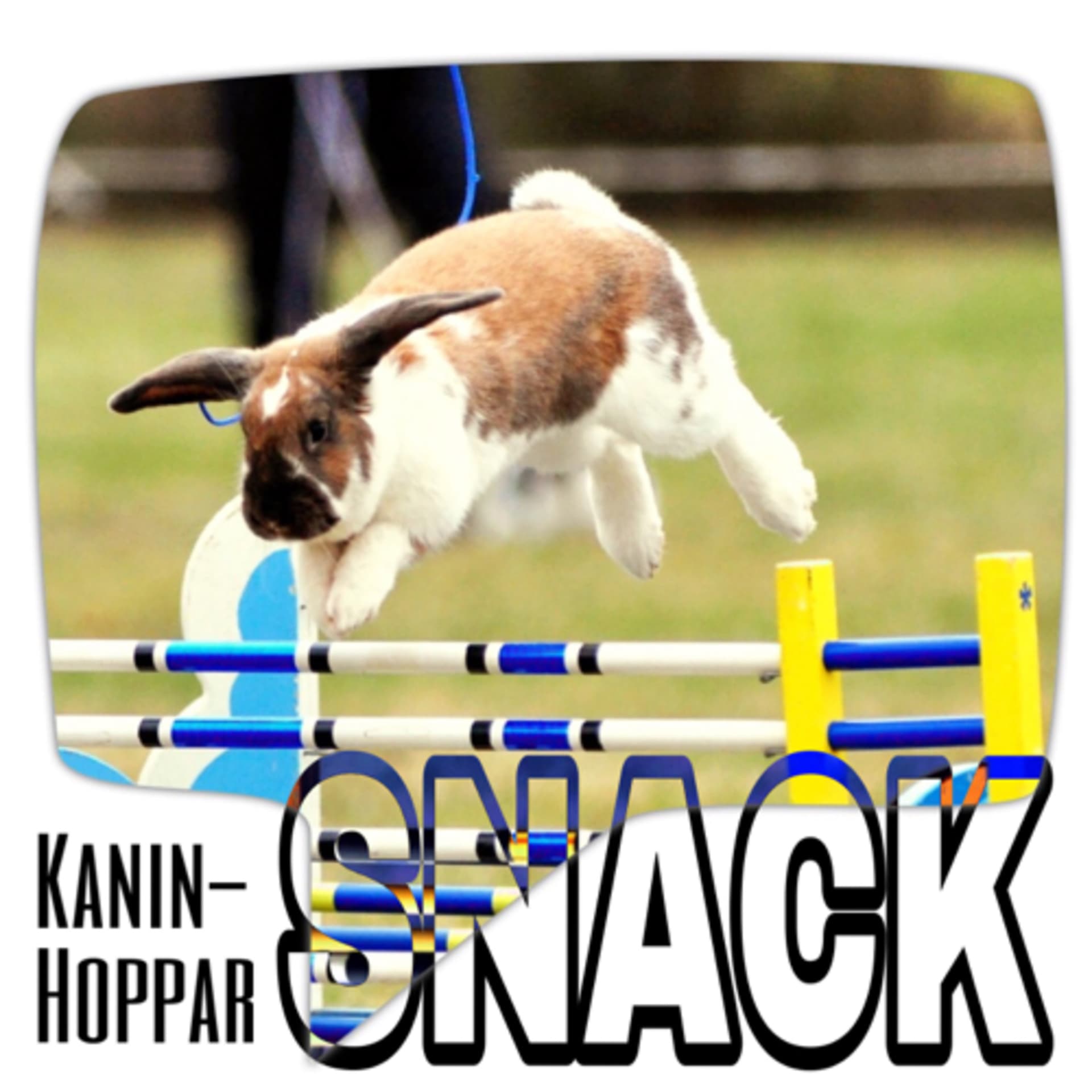KaninHopparSNACK - Podcasts