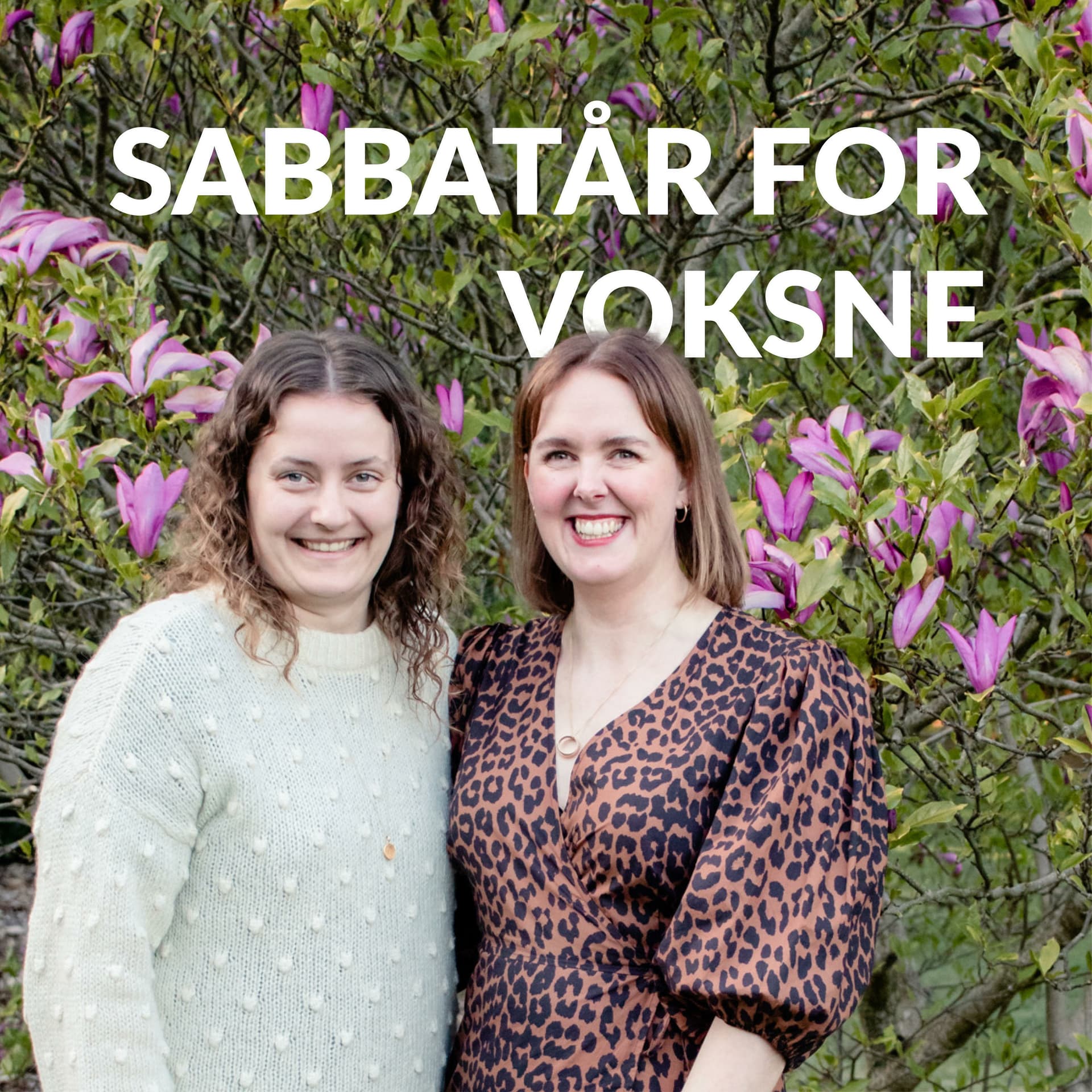 Sabbatår for voksne - Podcasts