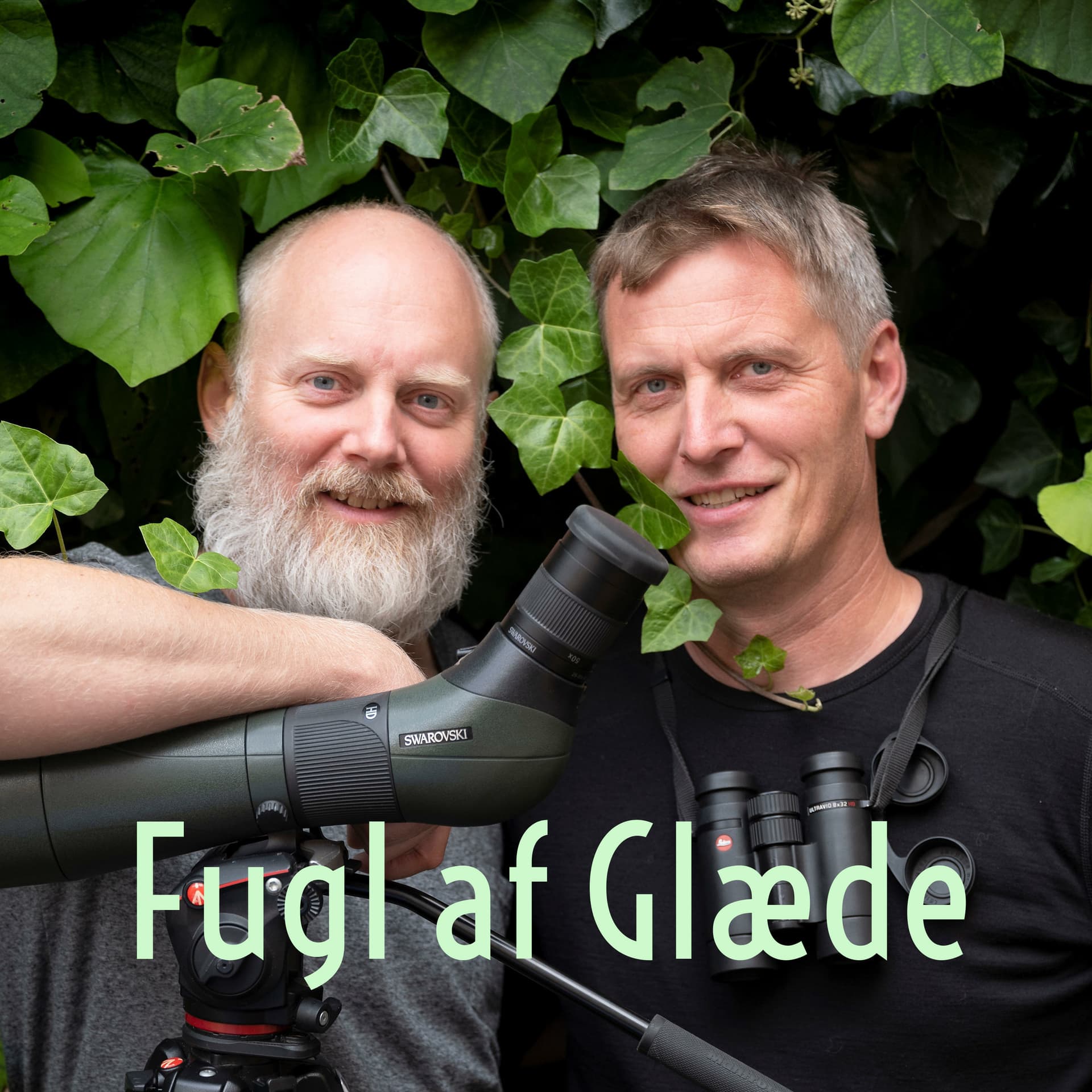 Fugl af Glæde Podcast - Podcasts