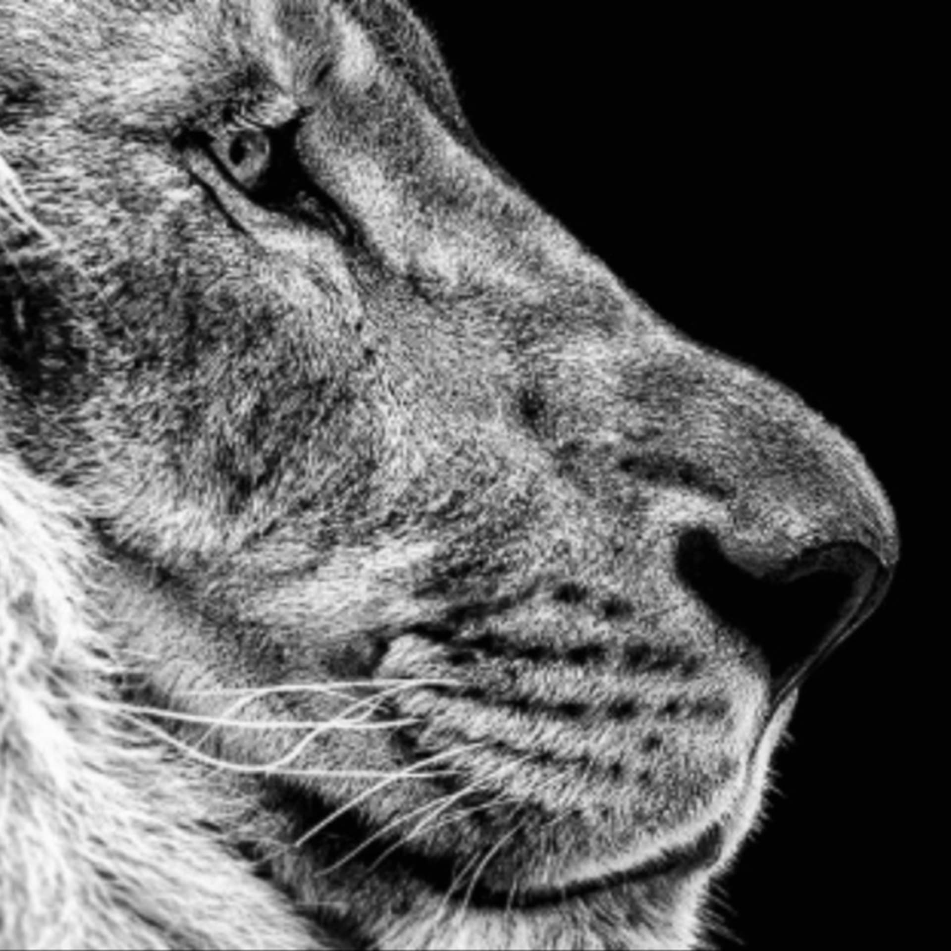 RUAH school van profetie: Leven naar het ritme van Gods hartslag - Podcasts