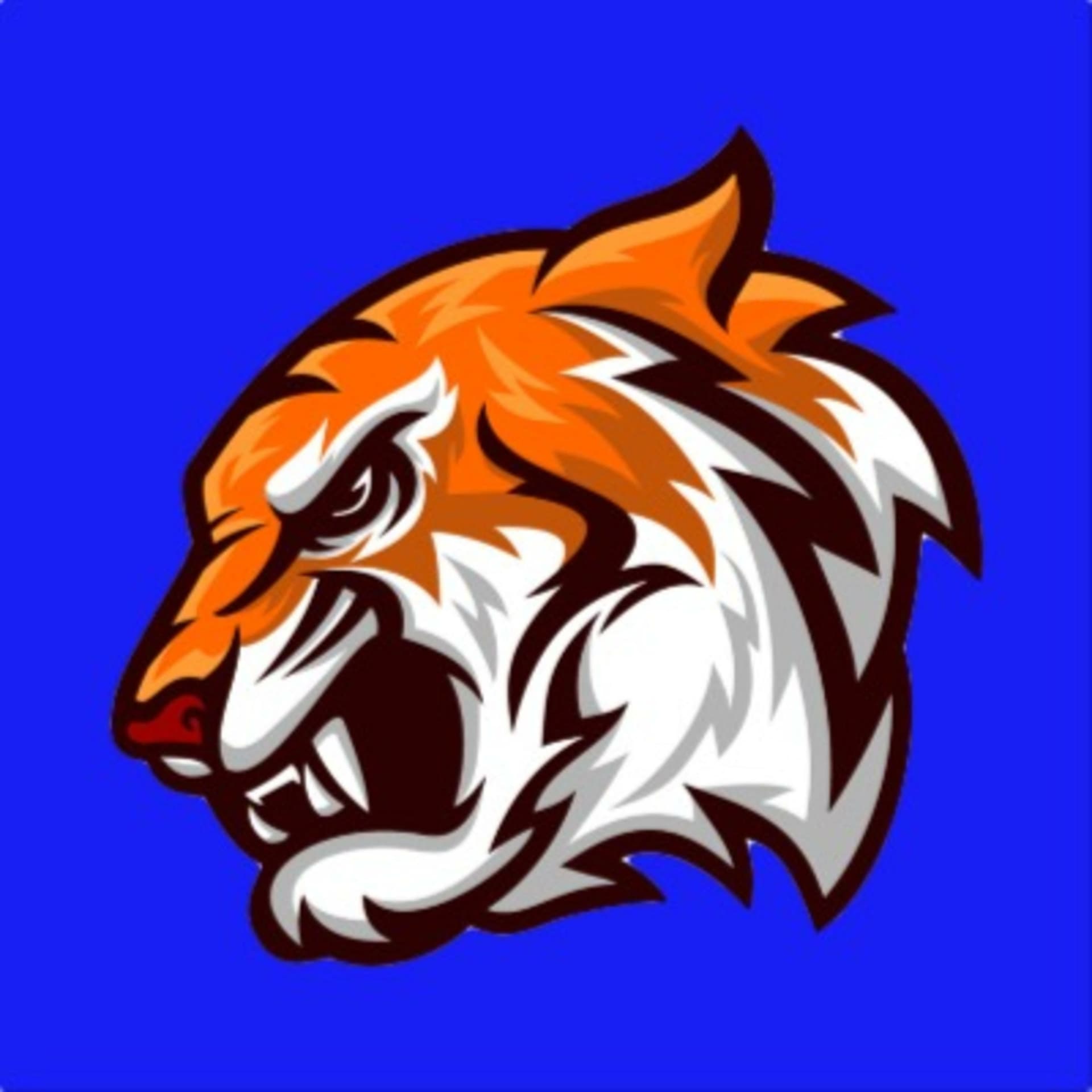 AL RITMO DEL TIGRE - Podcasts
