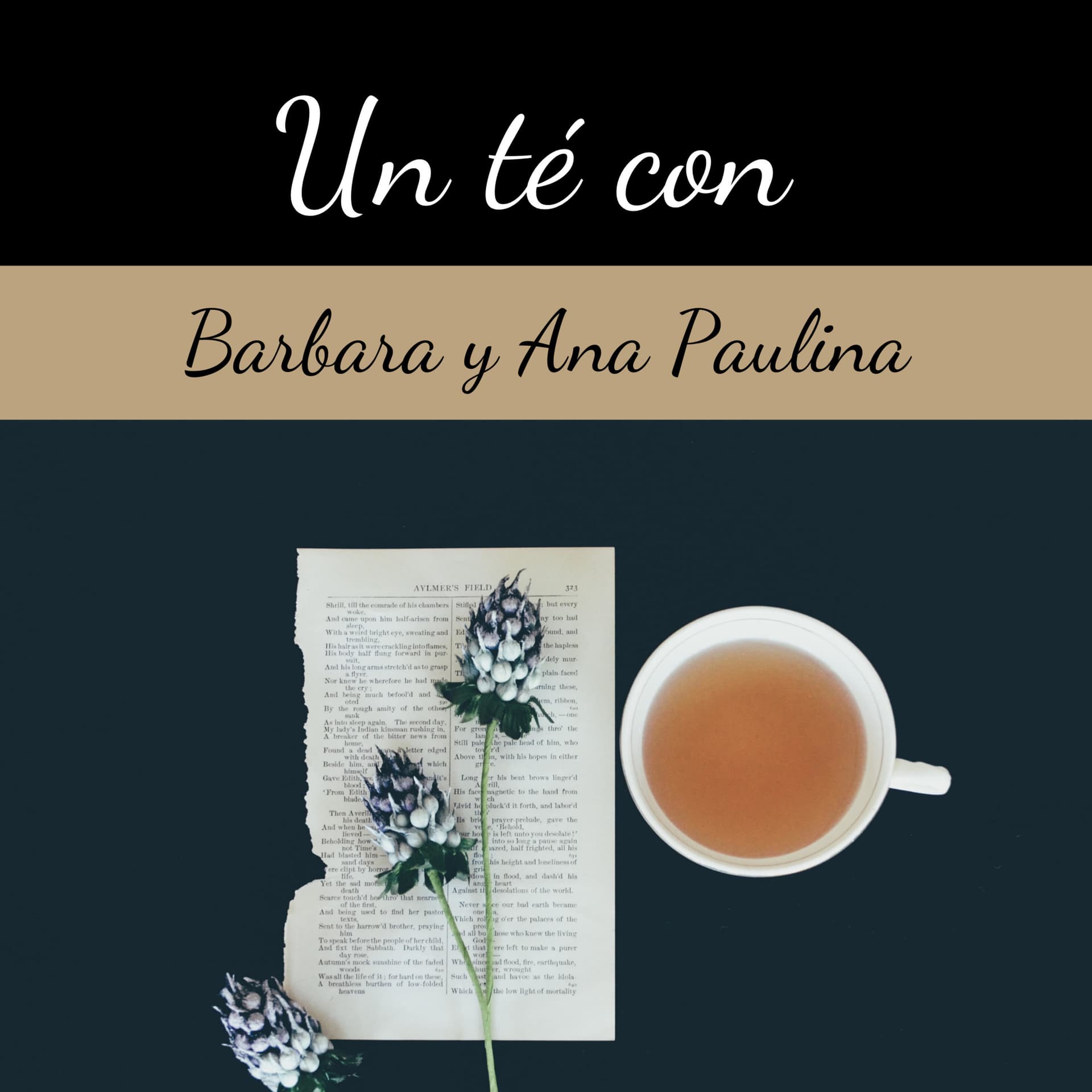 Un té con Barbara y Ana Paulina - Podcasts