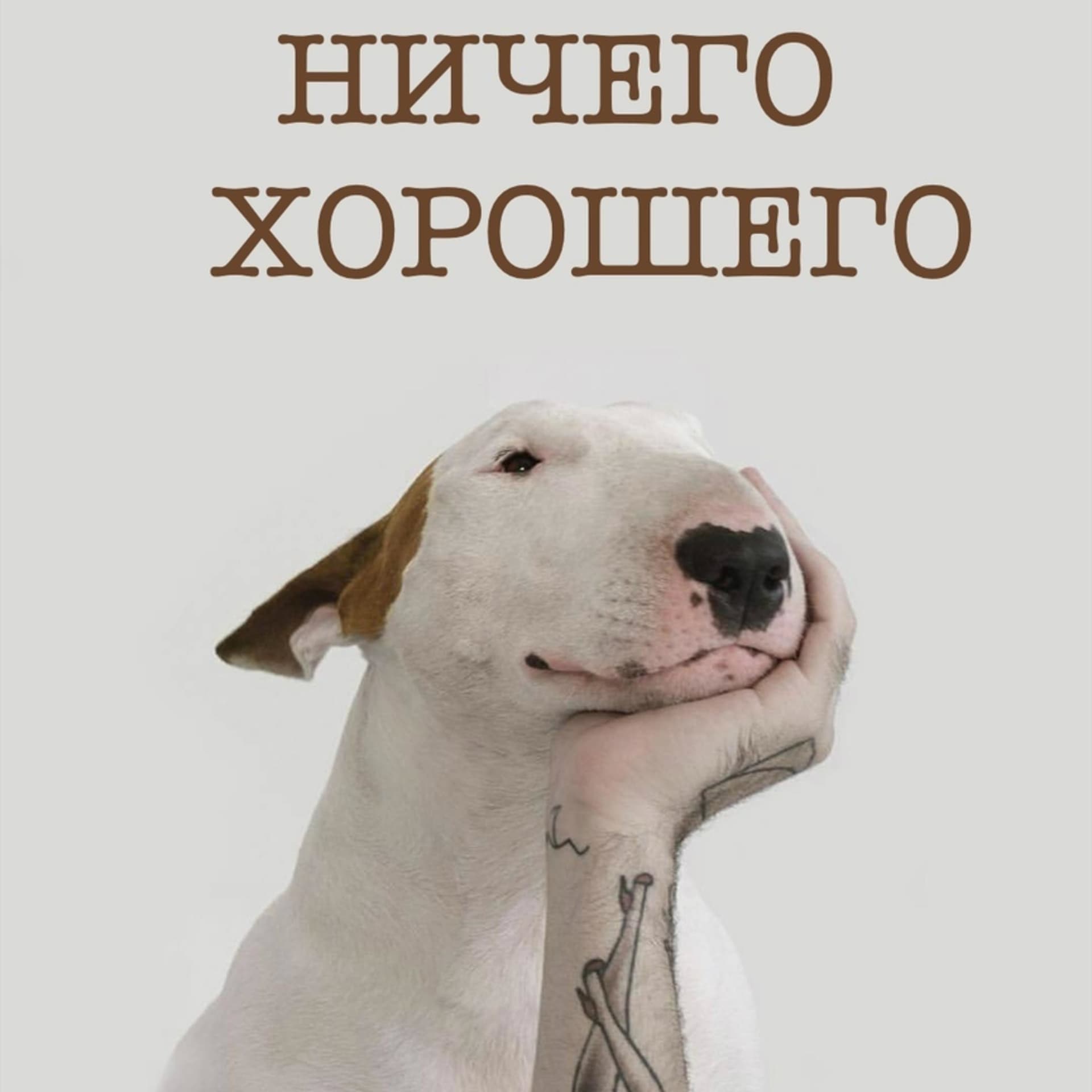 Ничего хорошего - Podcasts