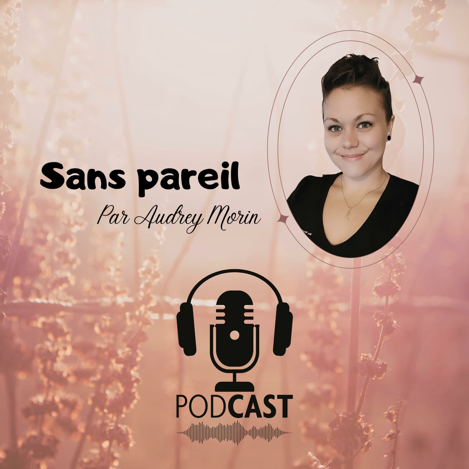 Sans pareil - Podcasts
