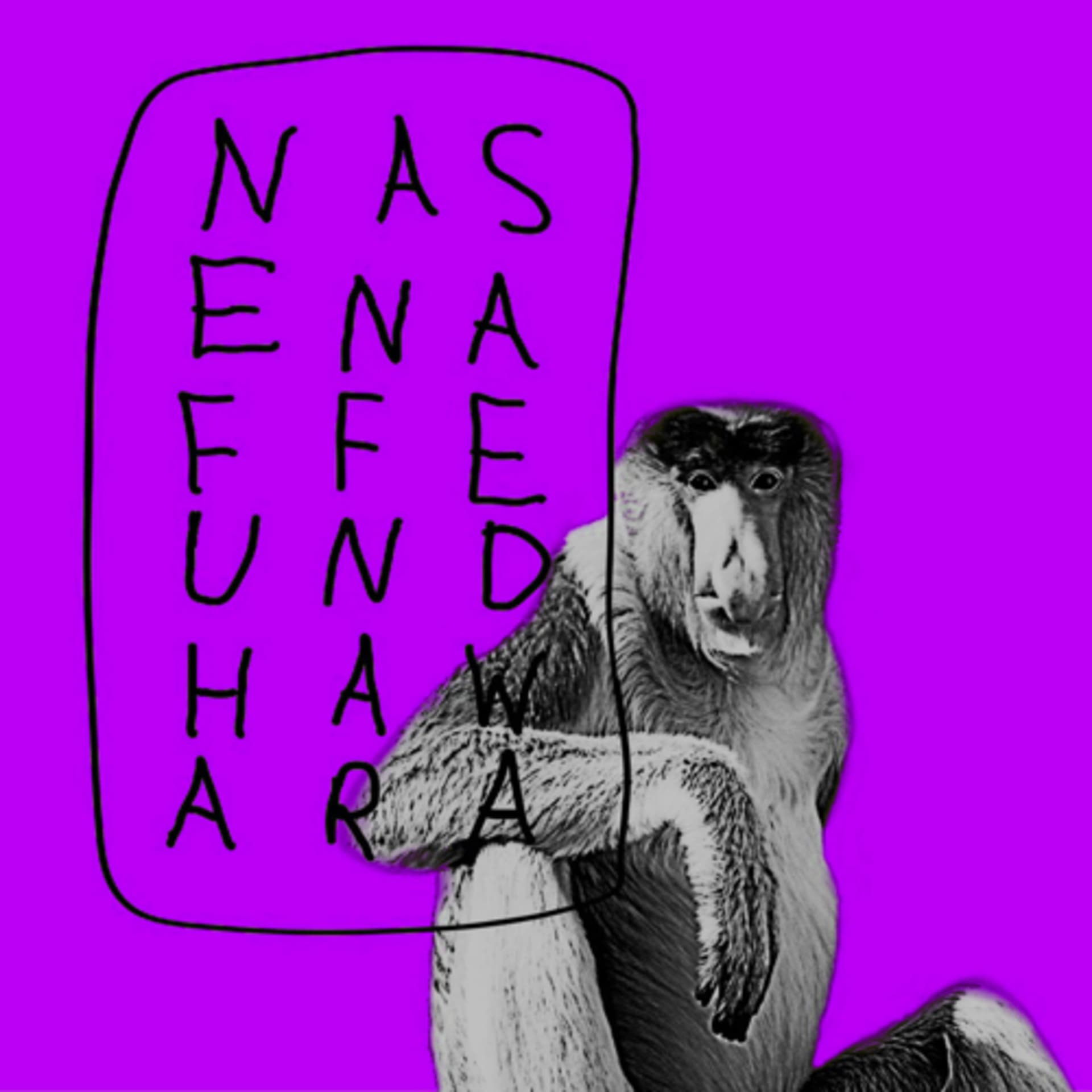 nasenaffe & hawara - Podcasts