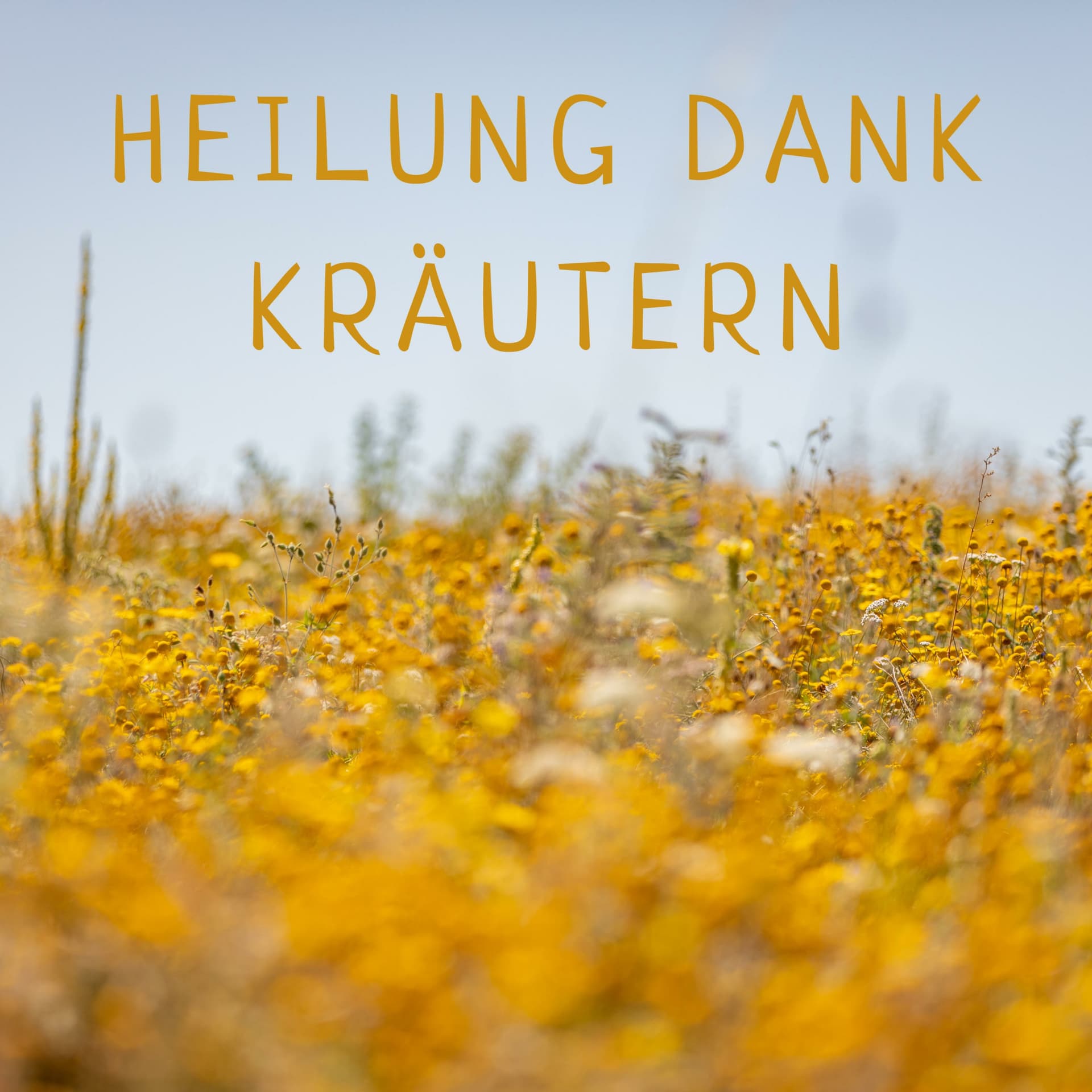 Heilung Dank Kräutern-Podcast - Podcasts