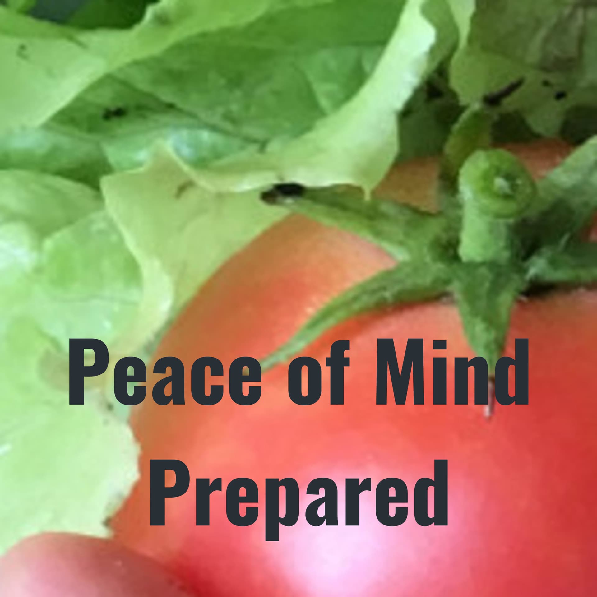 Peace of Mind Prepared - Podcasts