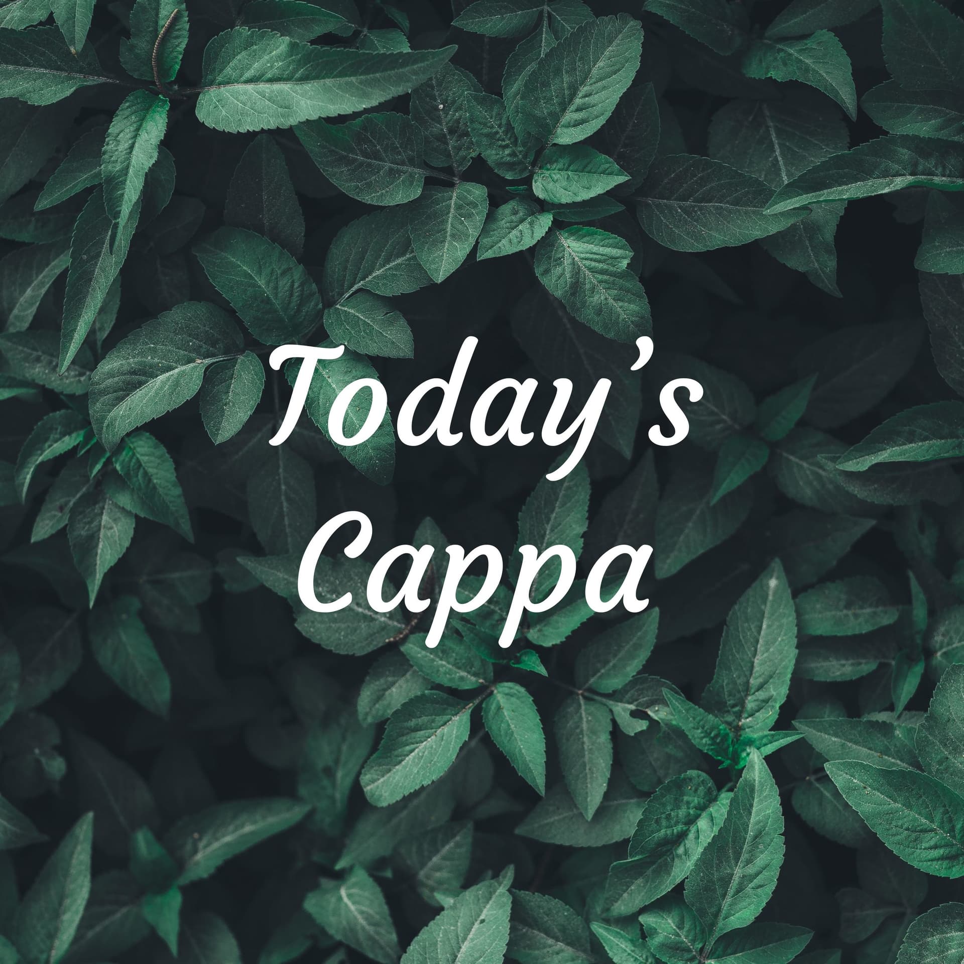 今日のかっぱ Today’s Cappa - Podcasts