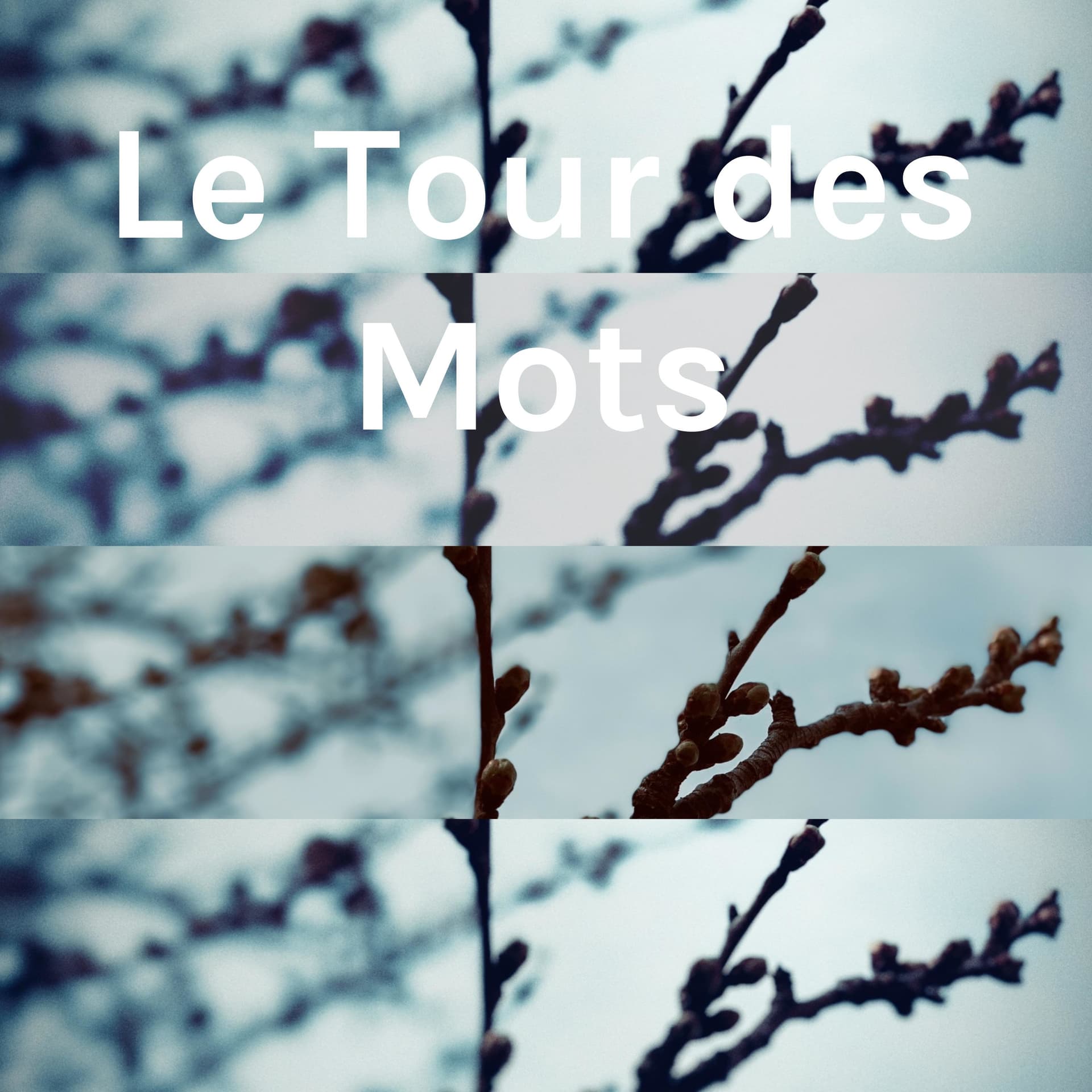 Le Tour des Mots - Podcasts