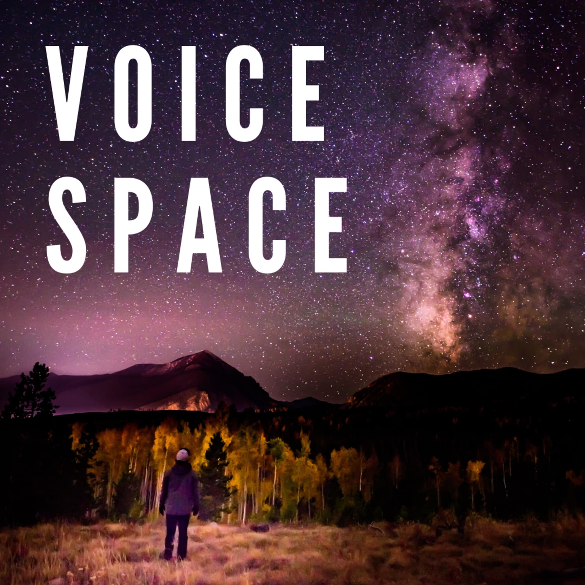 Voice Space - Podcasts