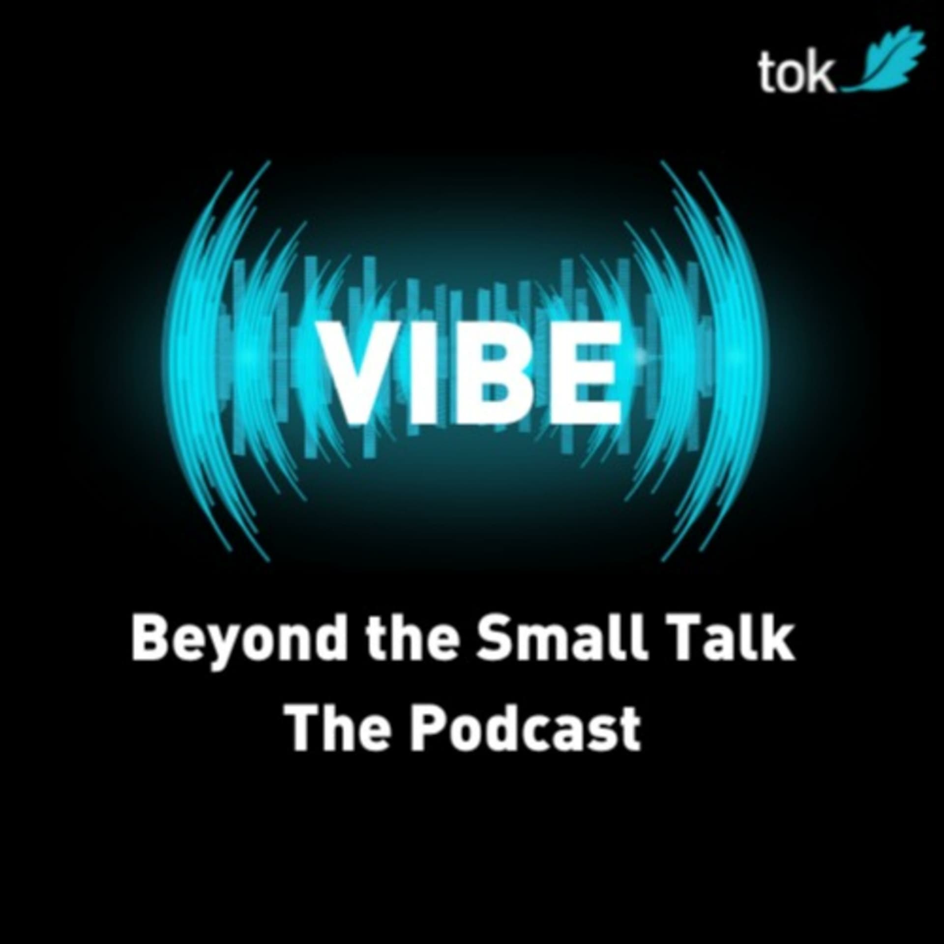 VIBE: Beyond the Small Talk - Podcasts