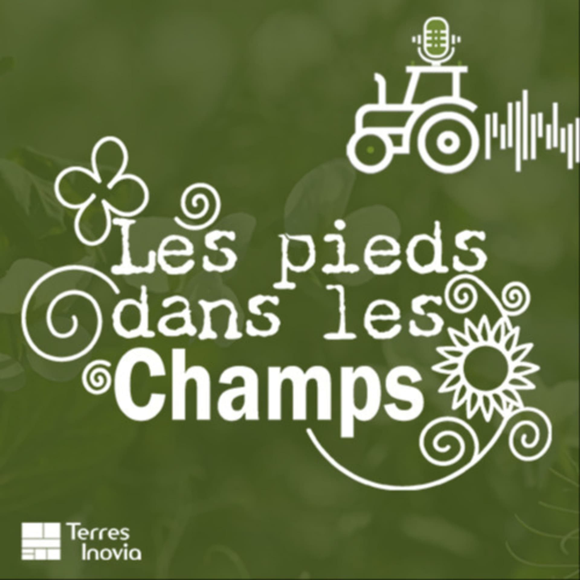 Les pieds dans les champs - Podcasts