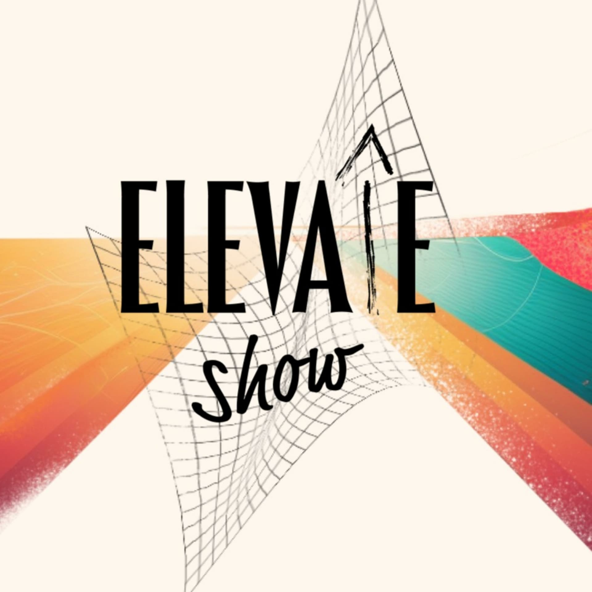 The Elevate Data Visualization Show - Podcasts