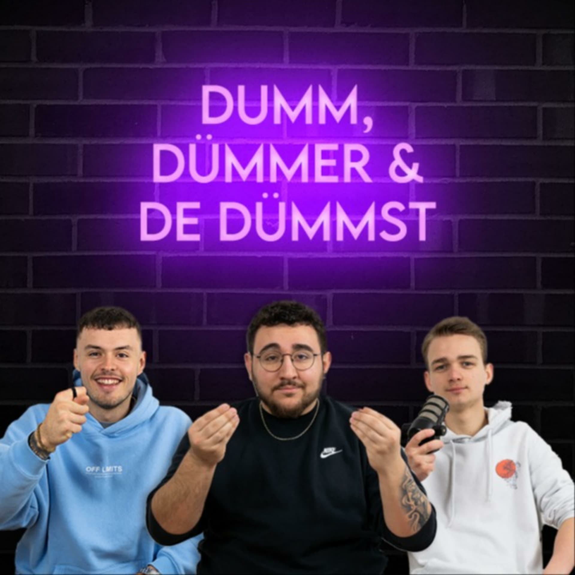 dumm dümmer & de dümmst - Podcasts