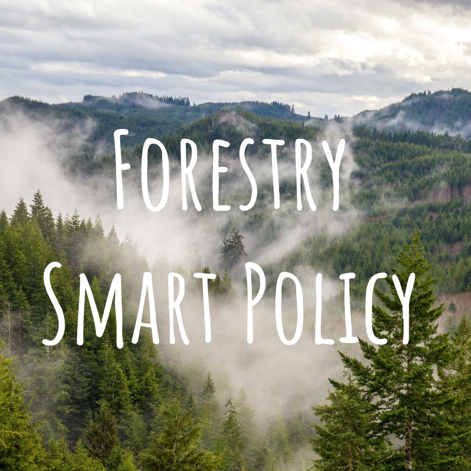 Forestry Smart Policy - Podcasts