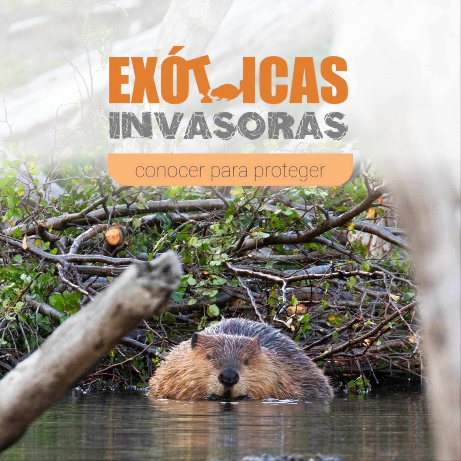 Especies Exóticas Invasoras - Podcasts
